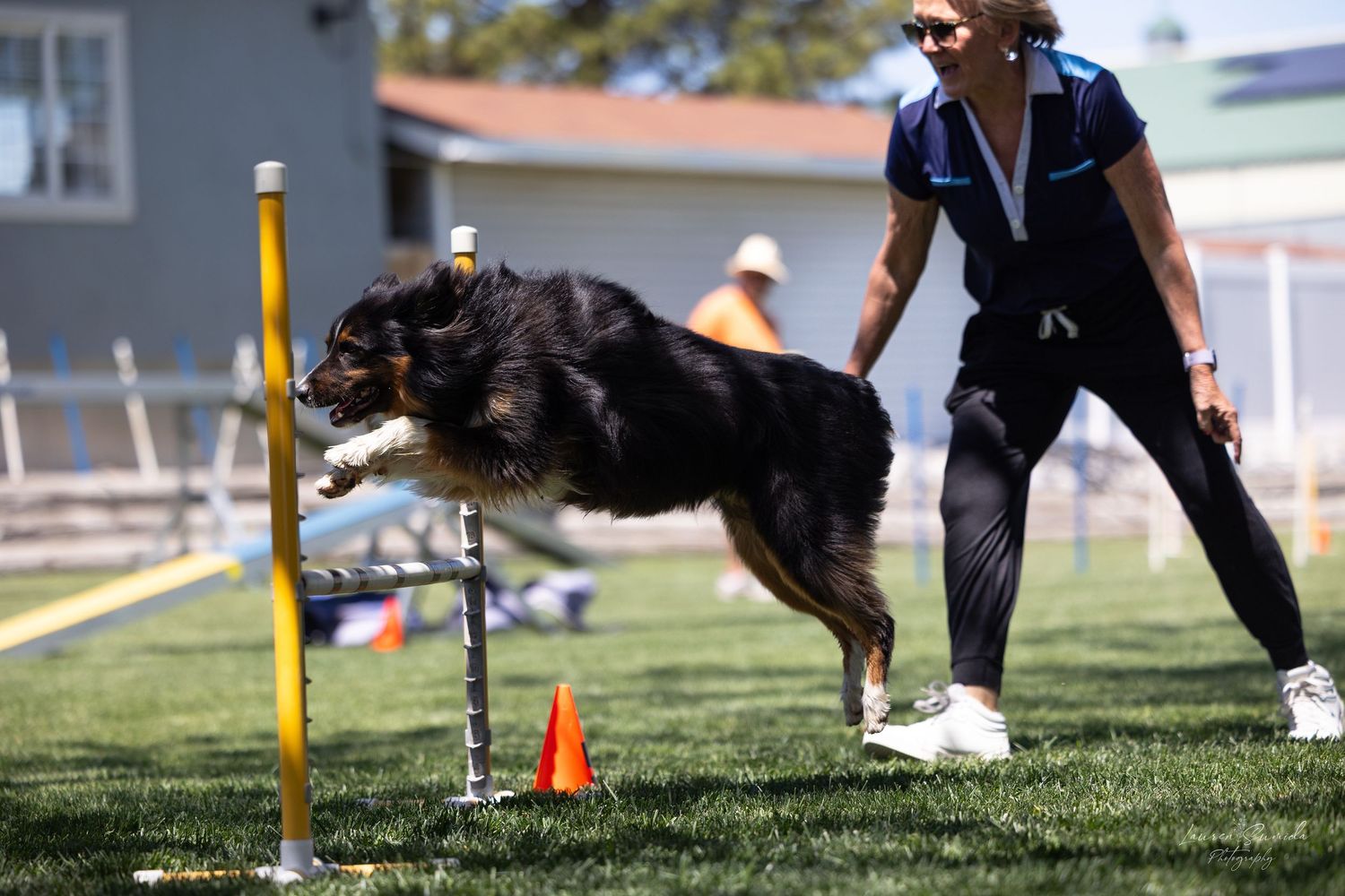A large dog jumping over a yellow pole during an agility competition.