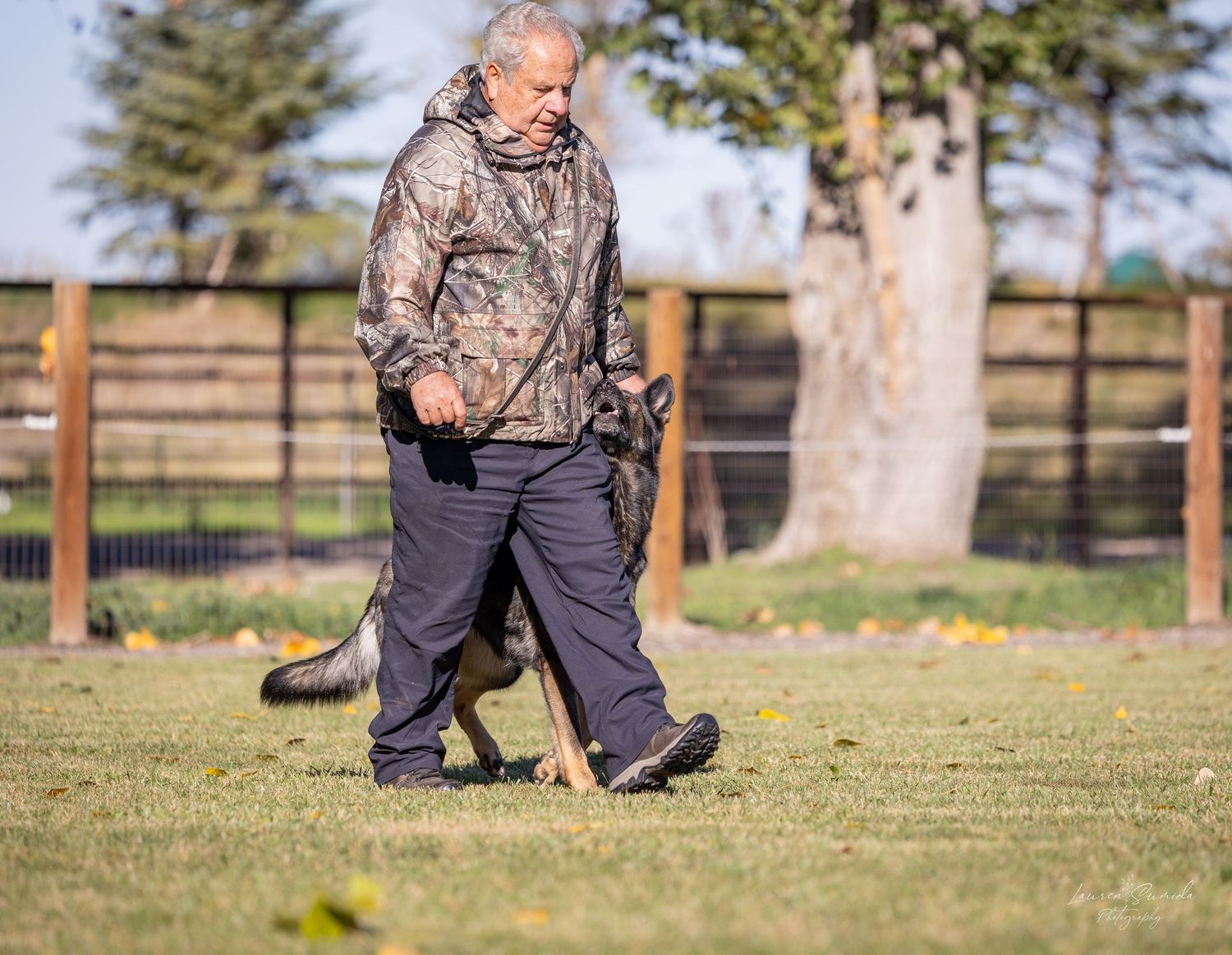 Dog and trainer practicing commands during outdoor agility training.