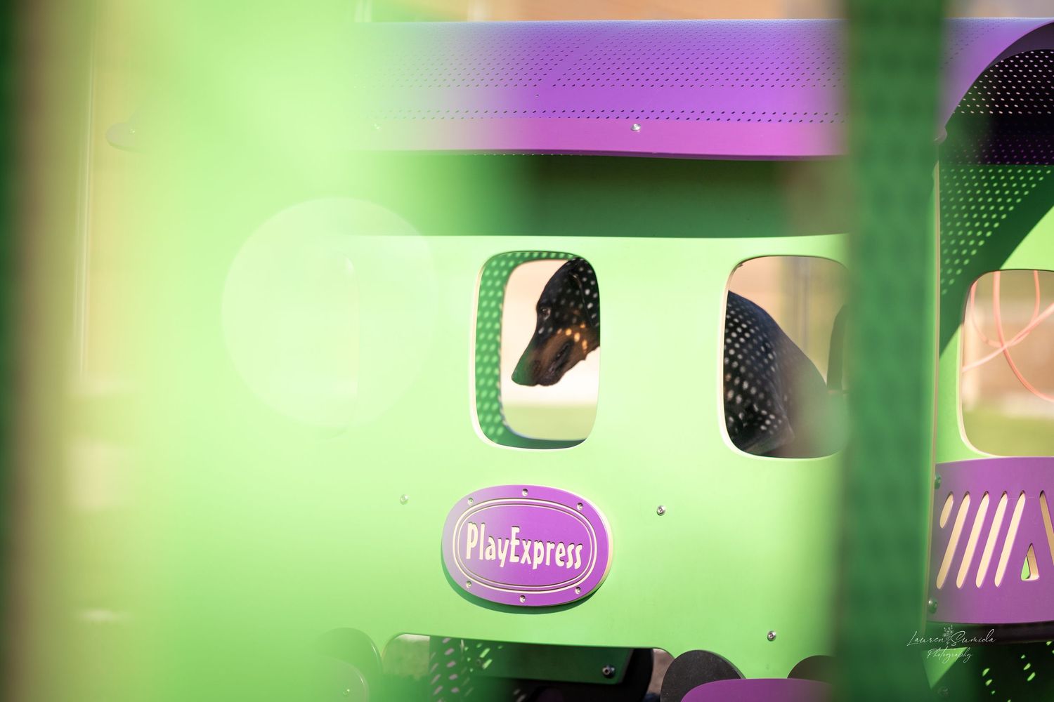 Colorful abstract background with green and purple gradient lighting effects.