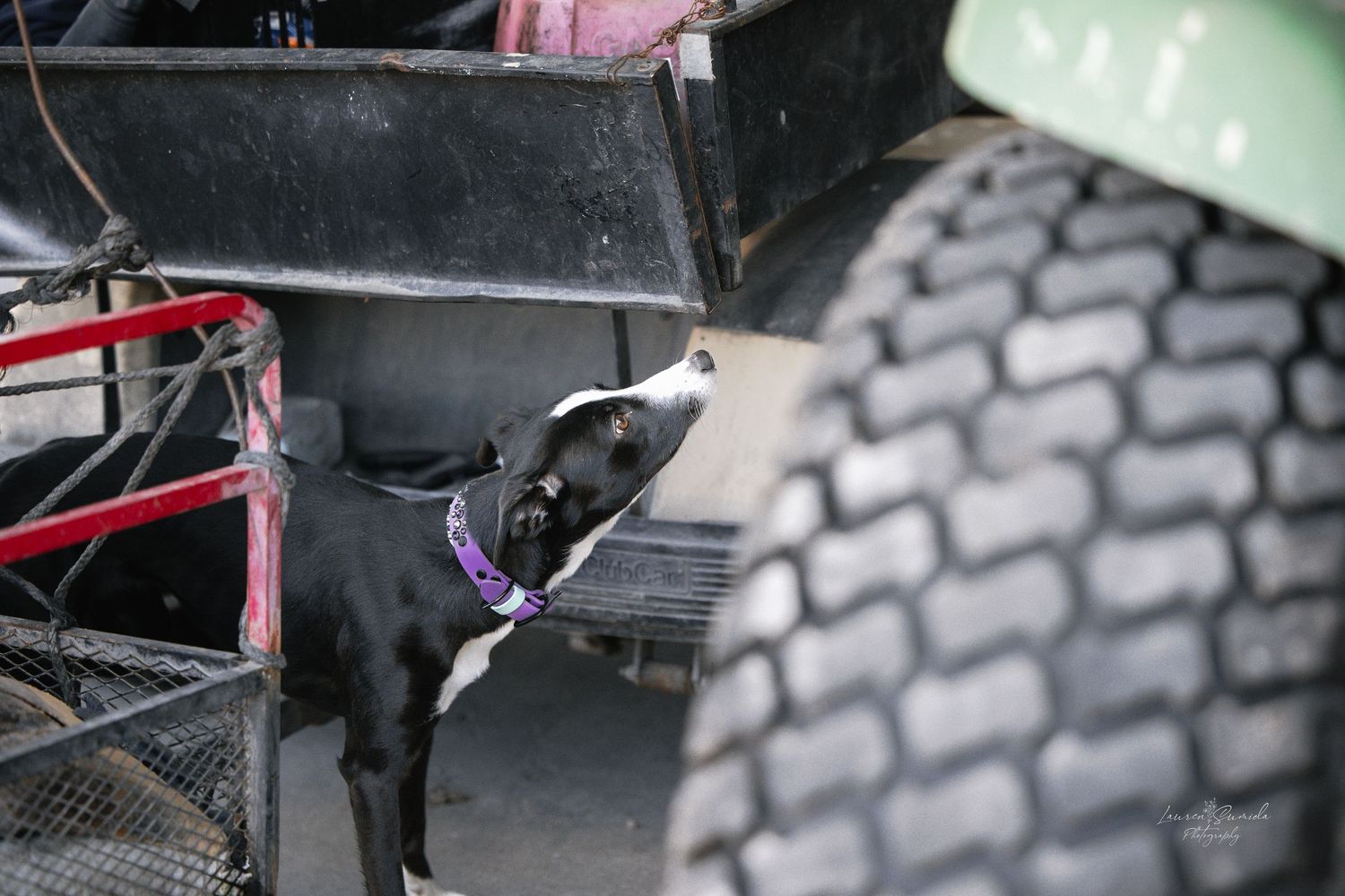 Close-up view of large off-road vehicle tires on rough terrain.