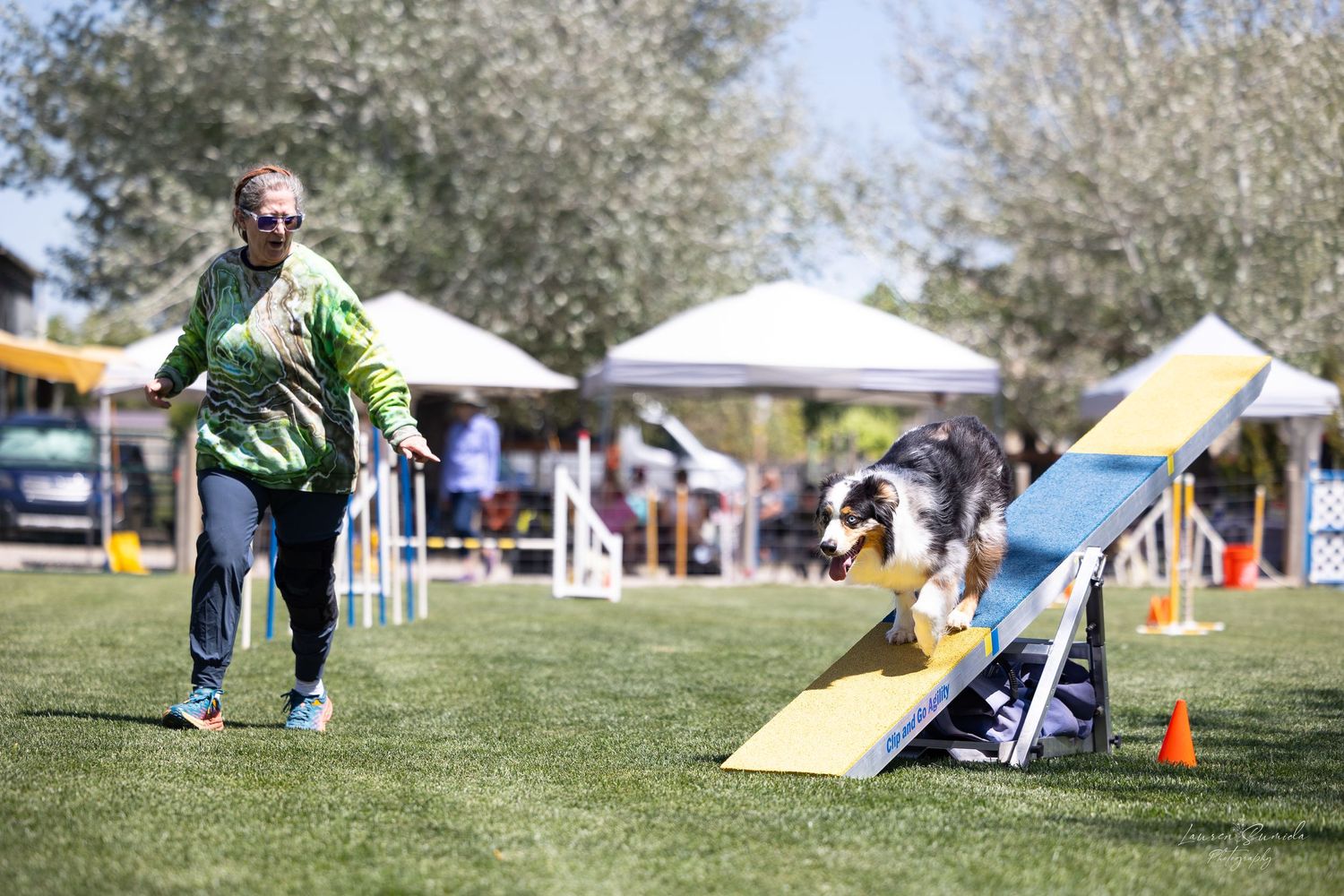 A dog navigates through an outdoor agility course with obstacles and equipment on a sunny day.