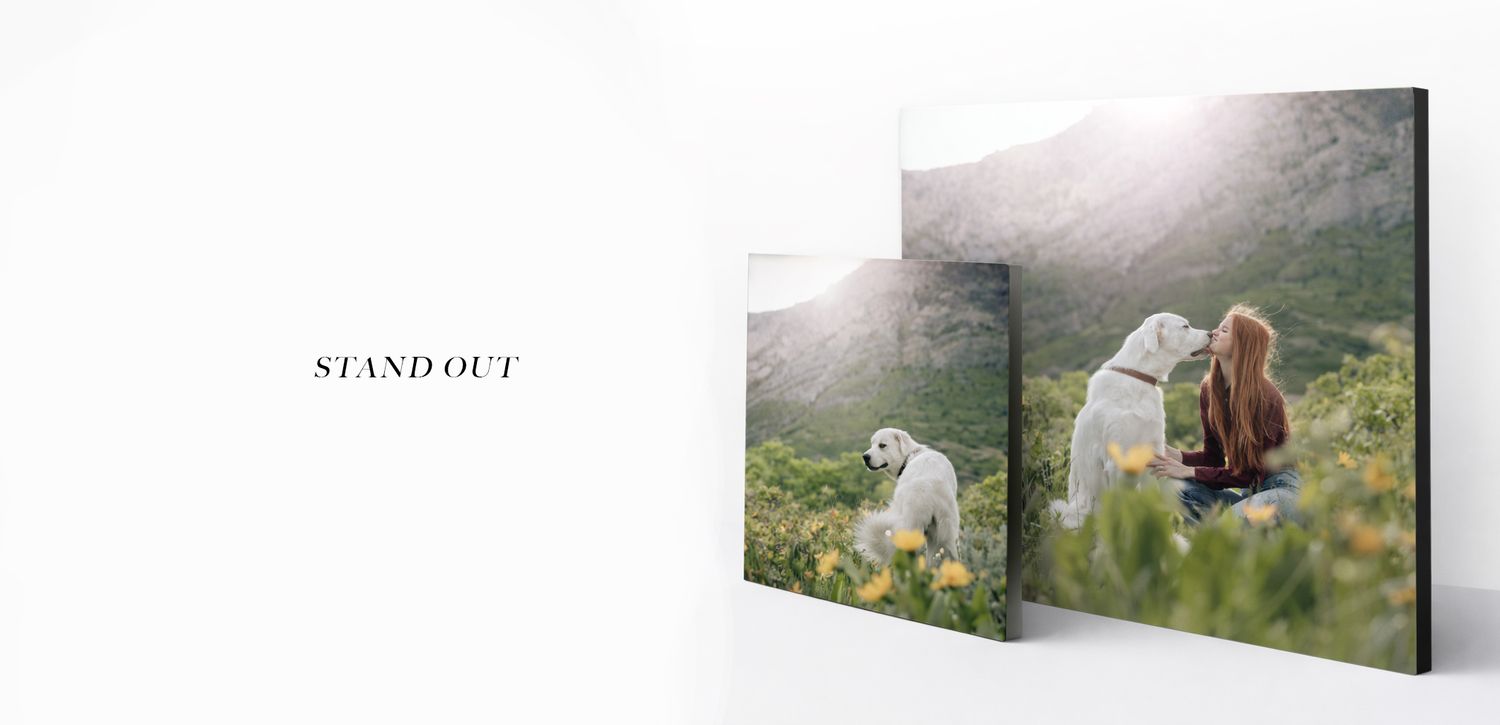 Canvas print mockup showing a nature photo with dogs in a grassy meadow displayed in two different sizes.