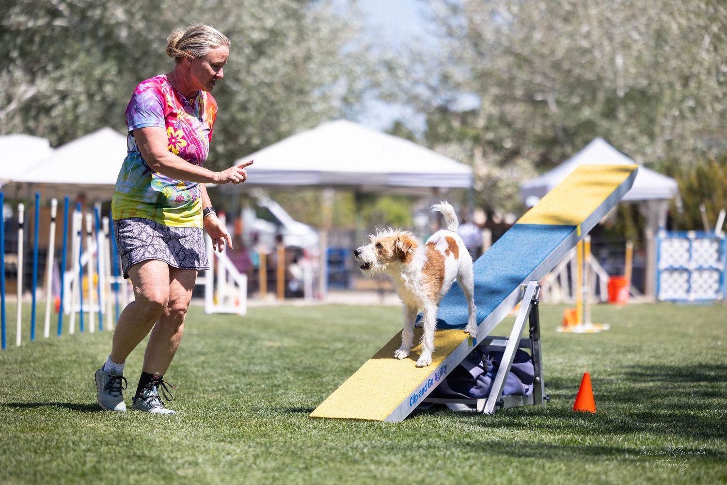 Dog ascending yellow ramp during outdoor agility competition.