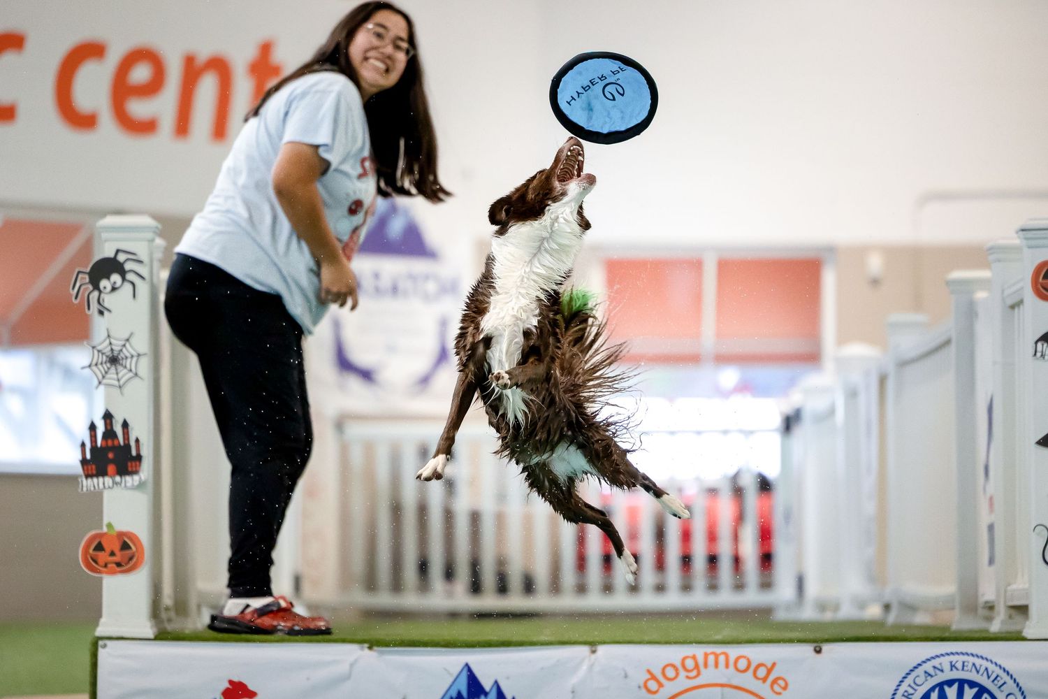 A dog leaps high to catch a frisbee during indoor training exercises.