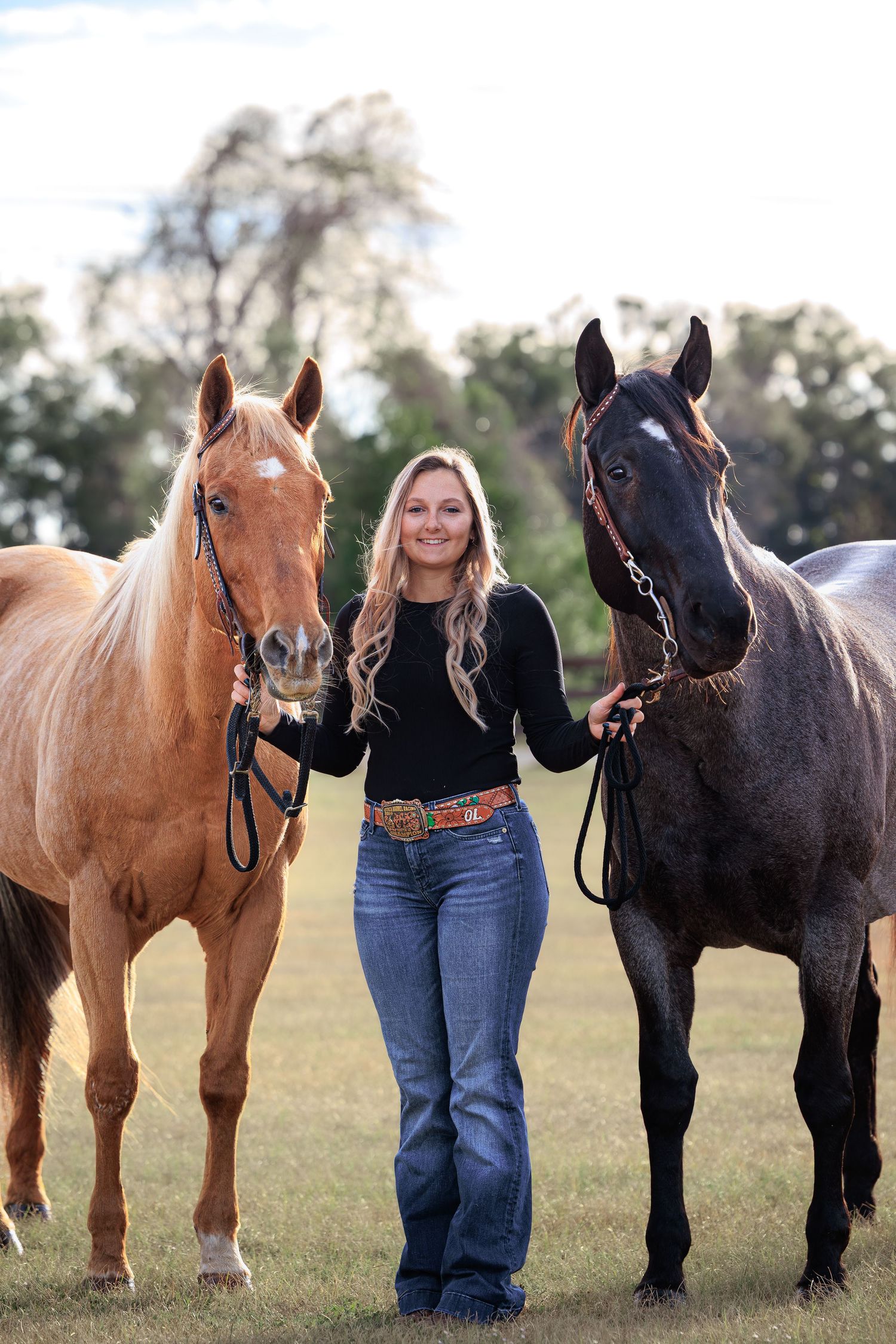 Two horses, one chestnut and one black, pose with their handler in a sunny field.