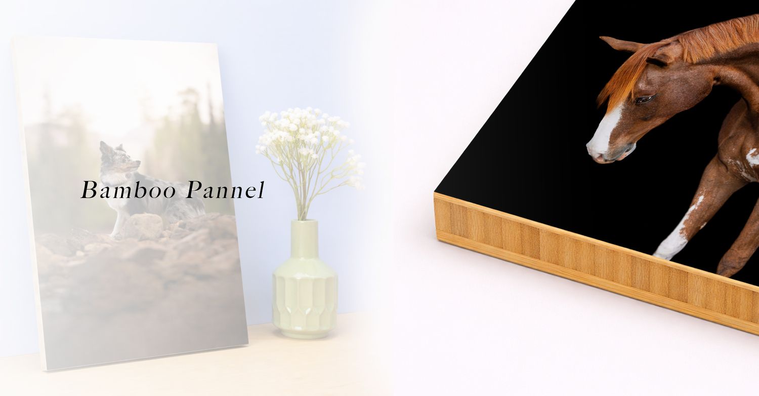 Minimalist bamboo panel design against white background with text label.