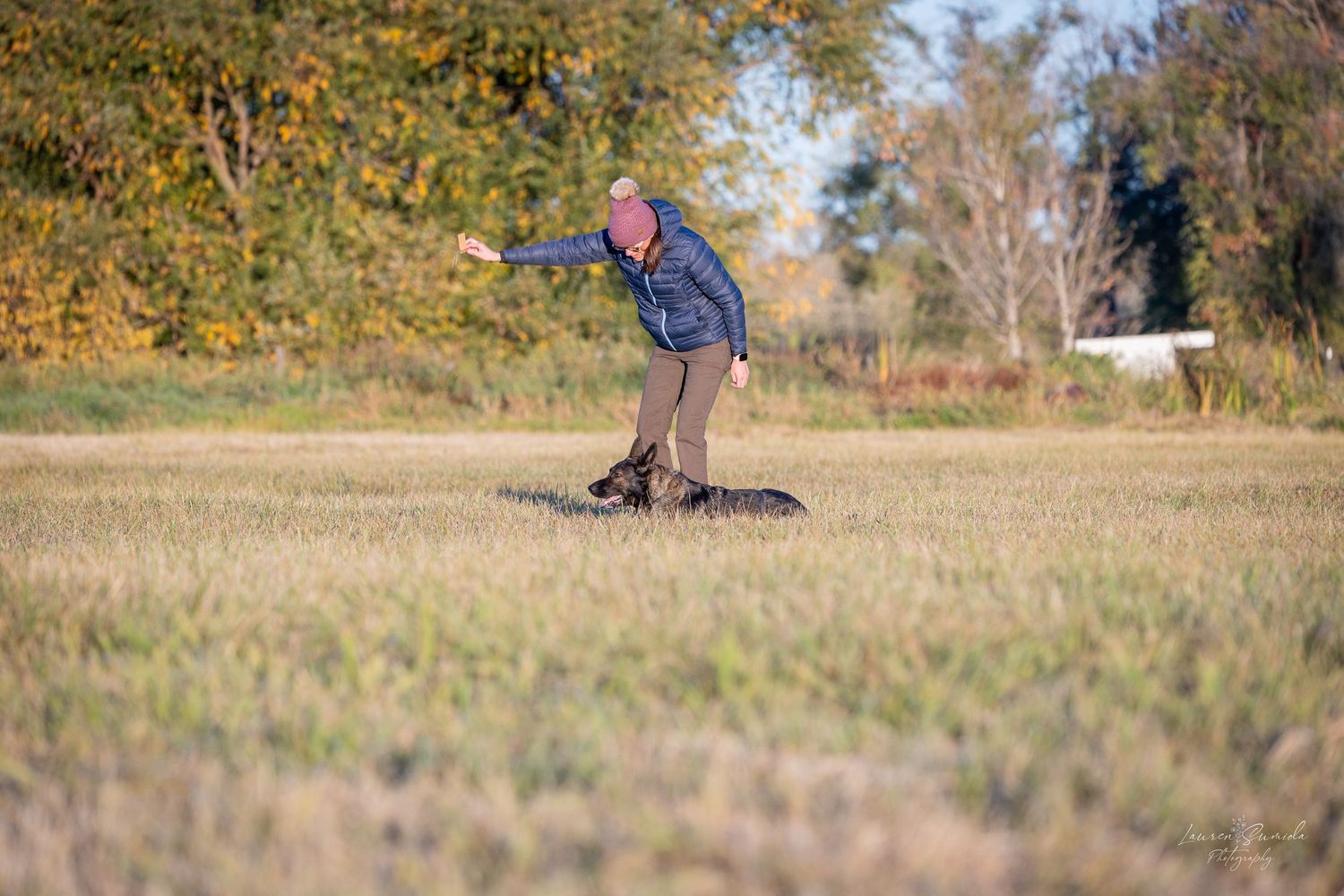 Training field with autumn trees in background where dog training exercises take place.
