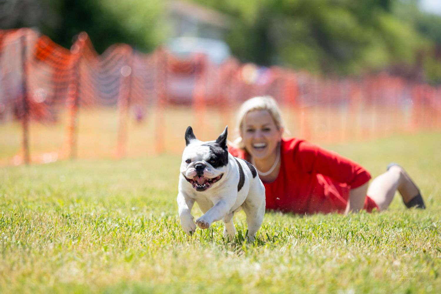 Dogs and handlers enjoy a sunny day on grass near orange safety barriers.