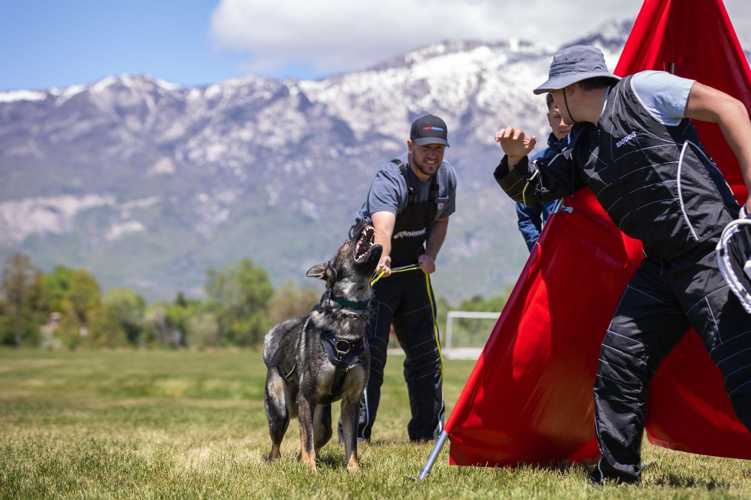 Dogs and handlers practicing agility training with red equipment against snowy mountain backdrop.