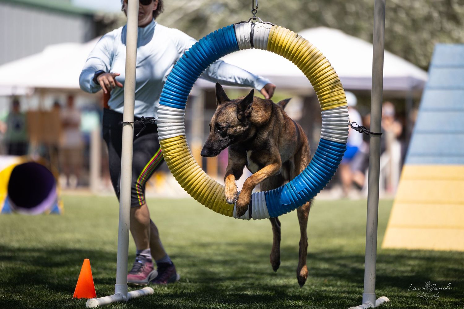 Dog running through colorful agility course tubes during outdoor competition.