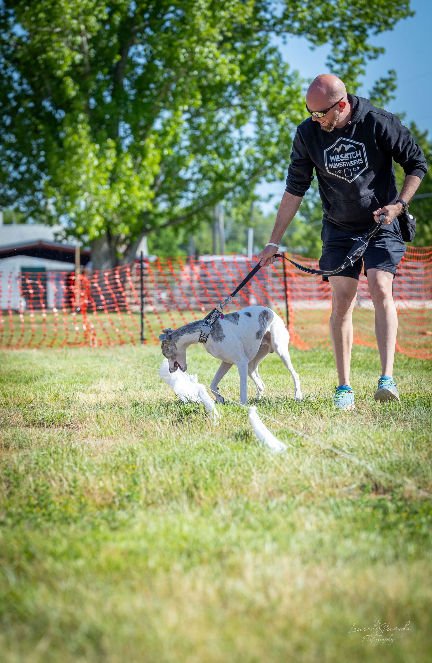 Handler directing dog through agility course on sunny summer day.