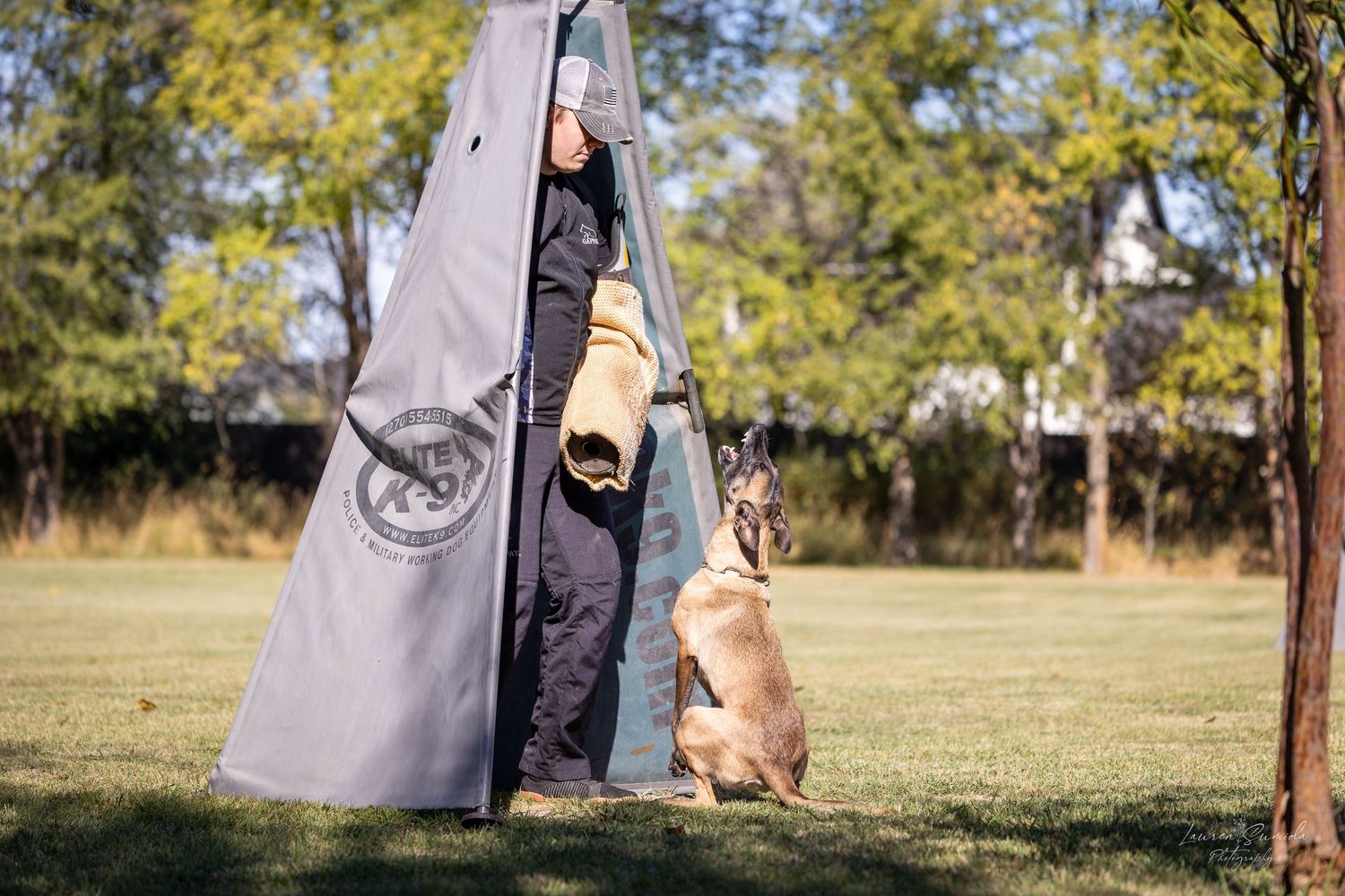 Dog training session with bite sleeve equipment in an outdoor field.