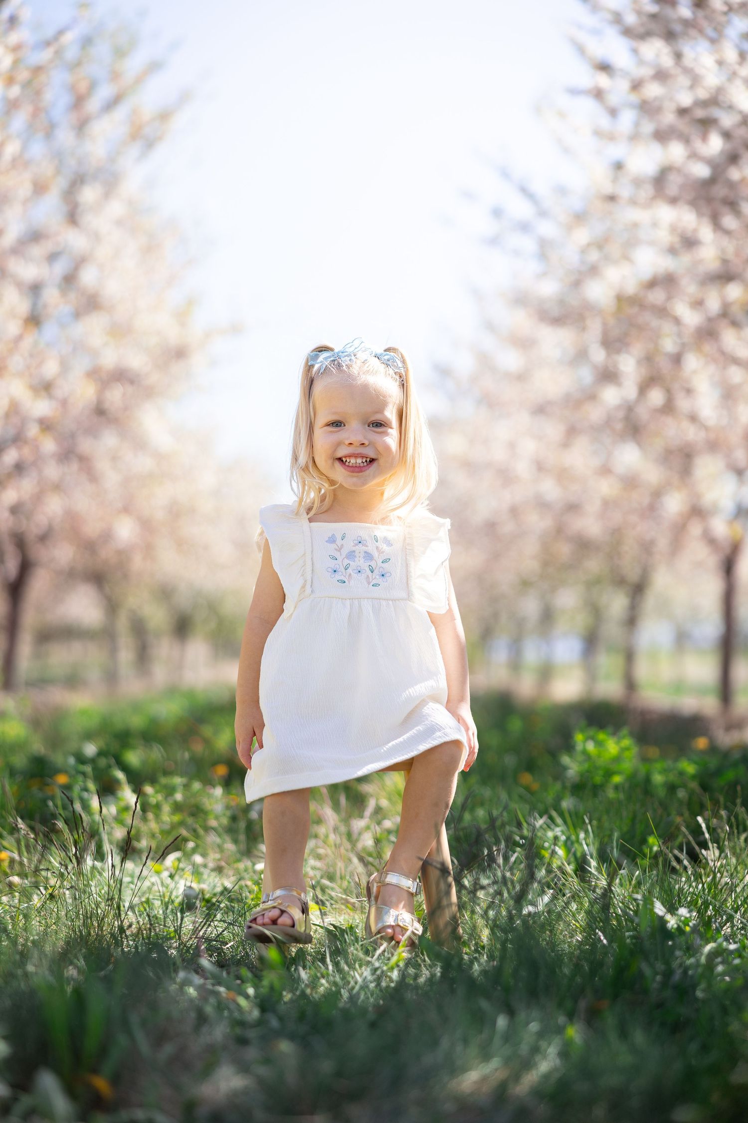 Child playing in grass field with blooming cherry blossoms in background.