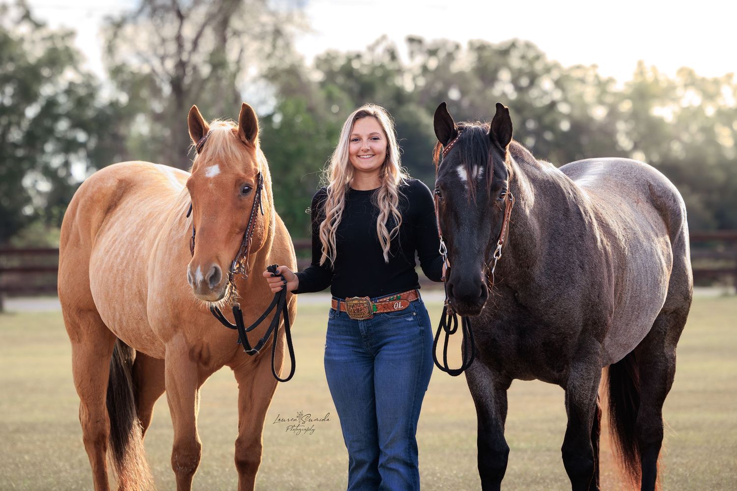 Three horses of different colors stand together in a grassy field at sunset.