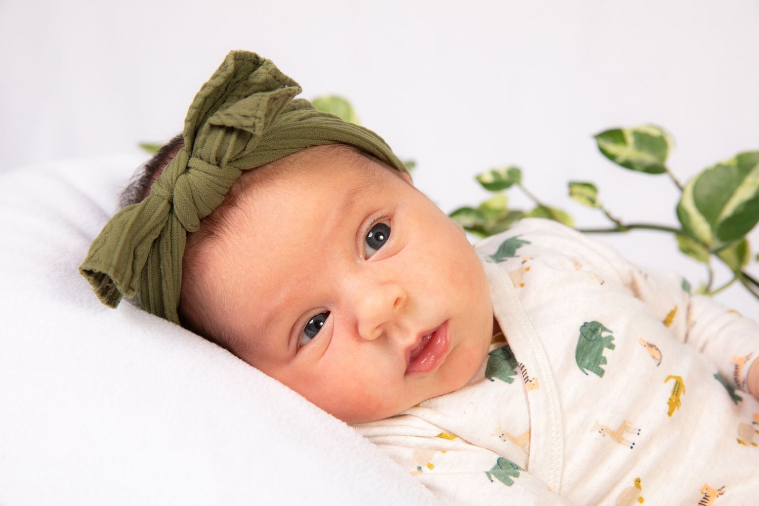 Newborn baby lying on white blanket with green foliage decoration.