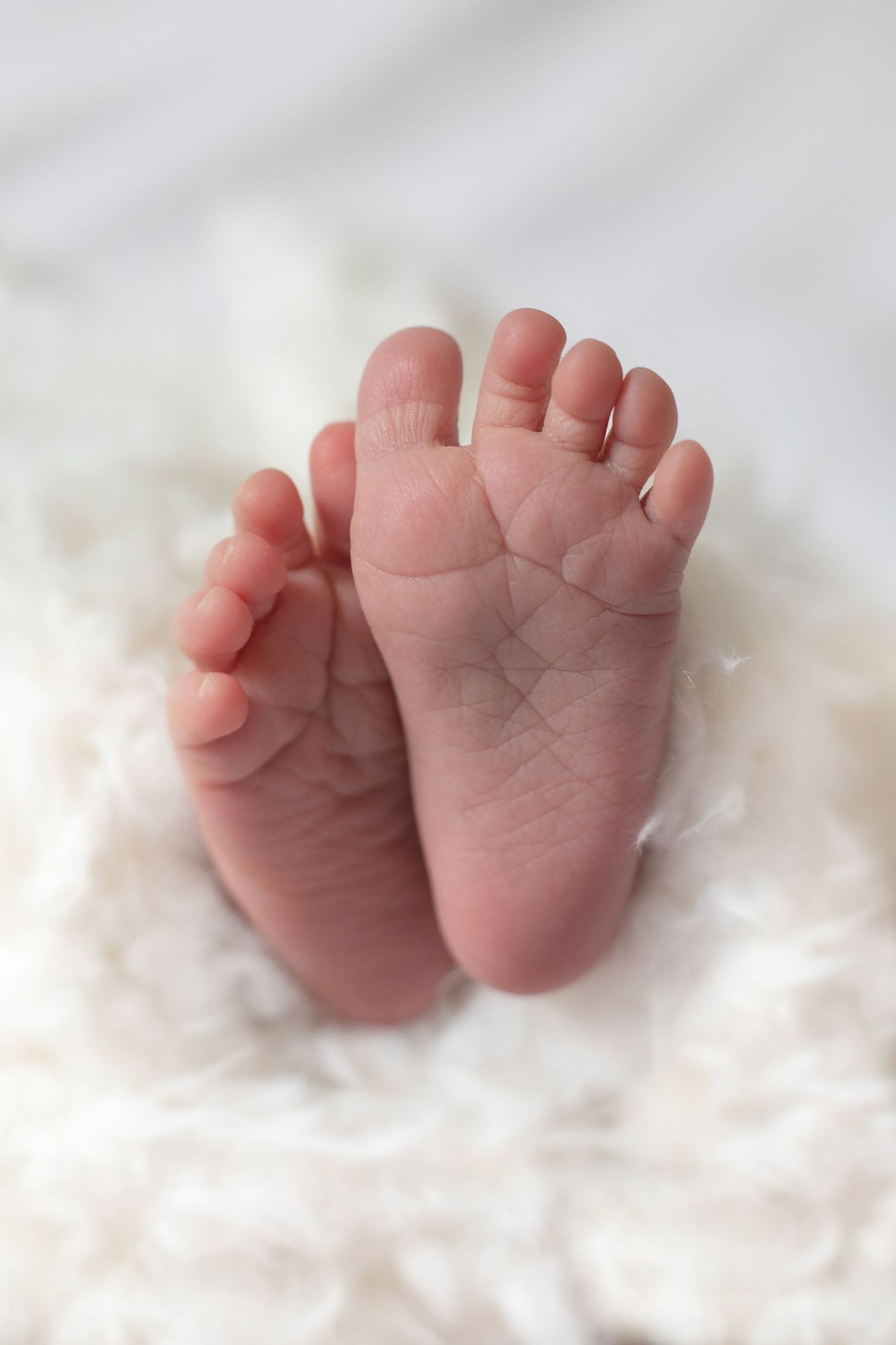 Tiny newborn baby feet with delicate toes against a white background.