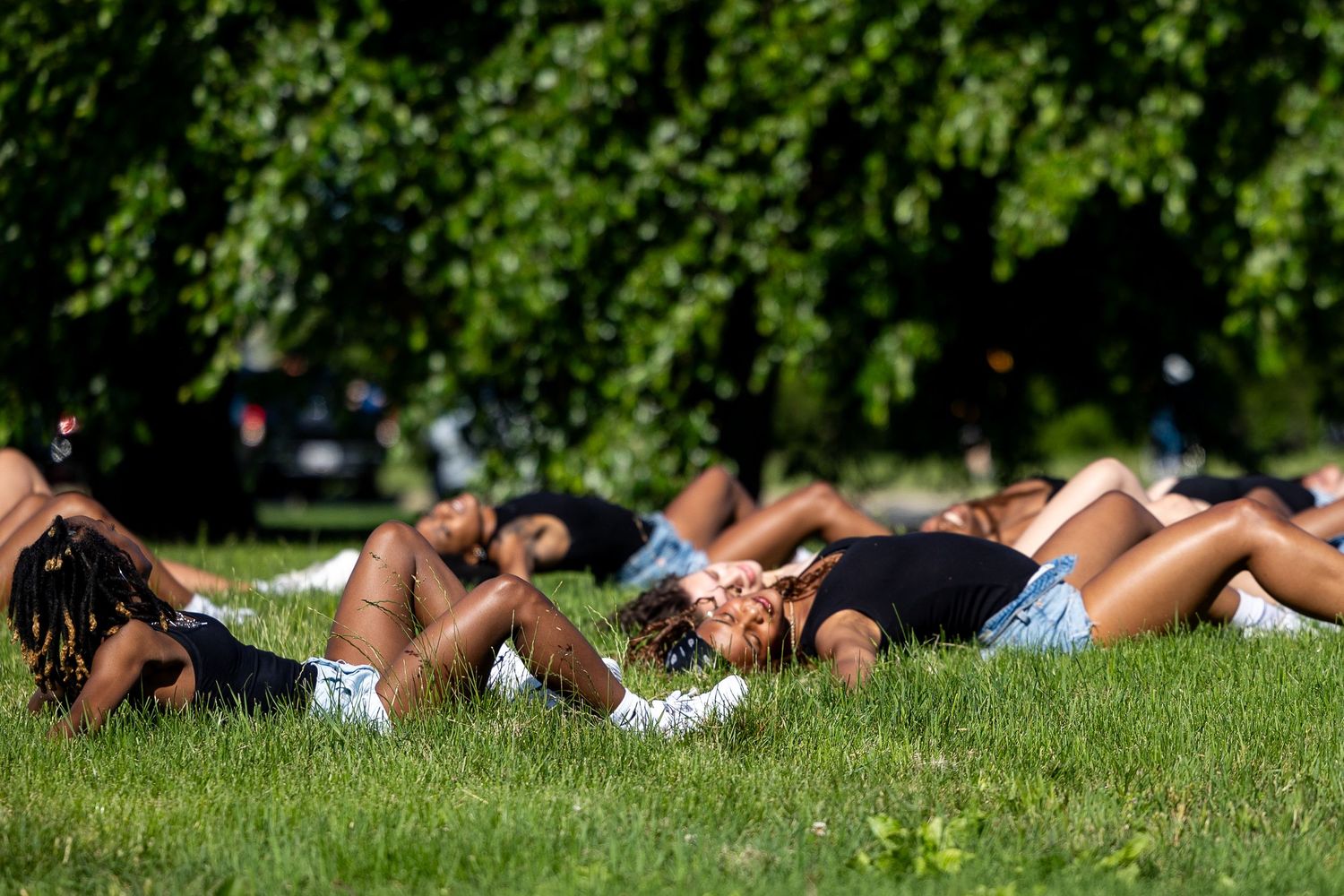 People lying on green grass in a sunny park surrounded by lush trees on a warm summer day.