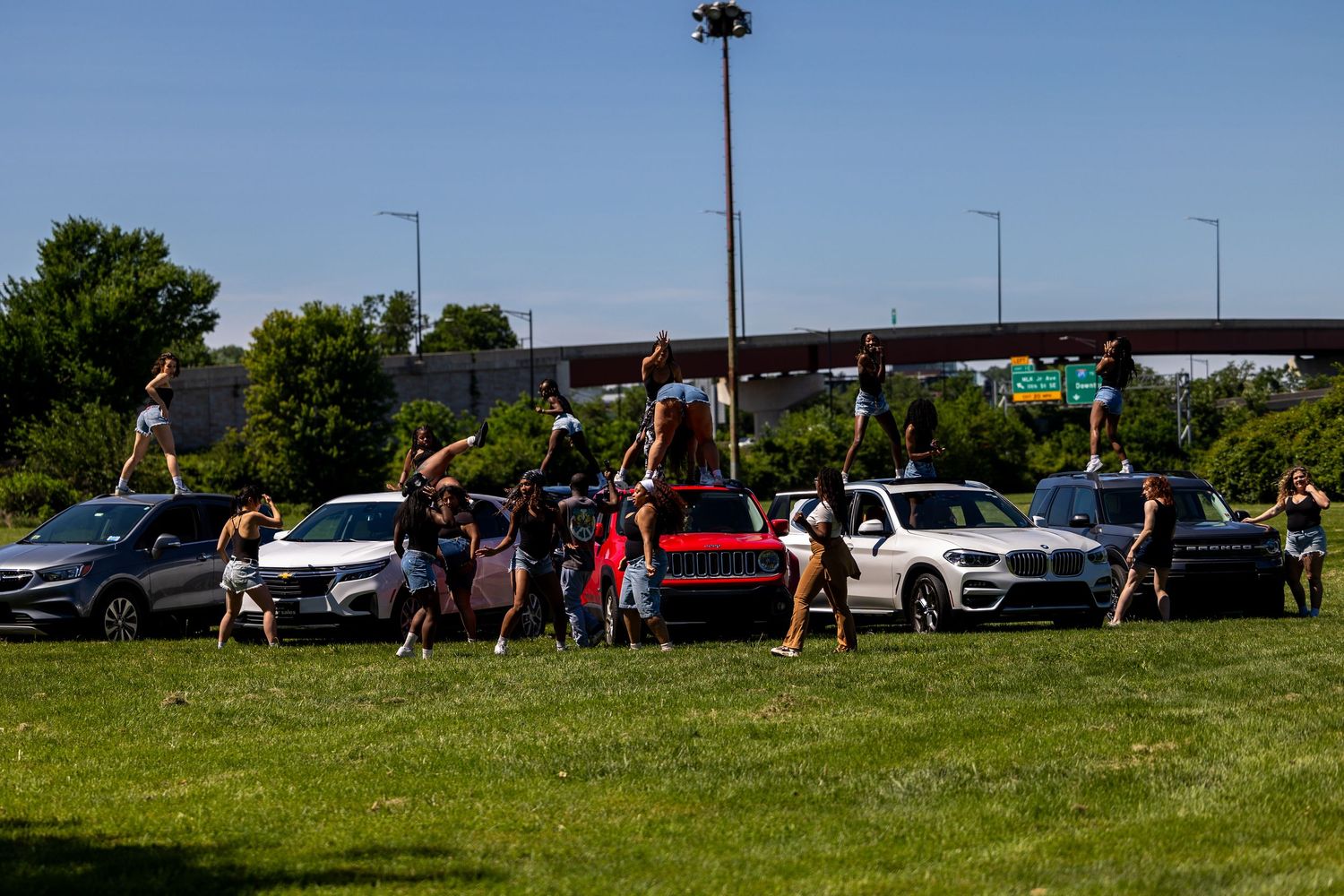 Group of people dancing and cheering on a grassy field near parked cars with a highway overpass in the background.
