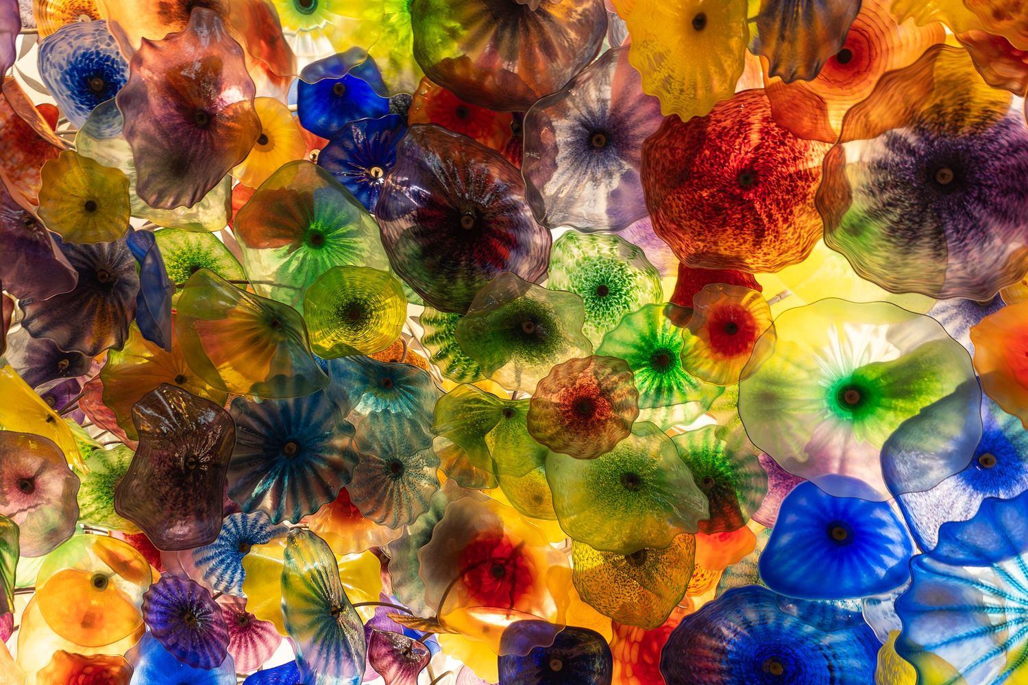 Vibrant ceiling installation of colorful glass flowers in blue, orange, yellow and green hues.