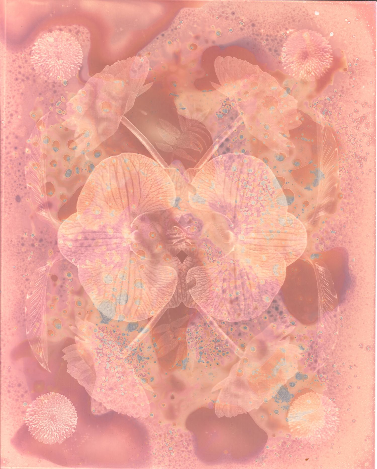 Lumen print