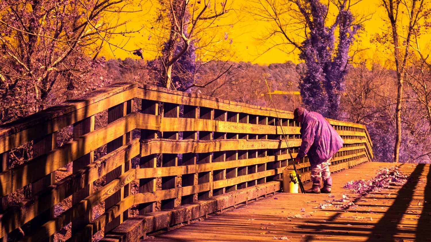 Infrared Photography