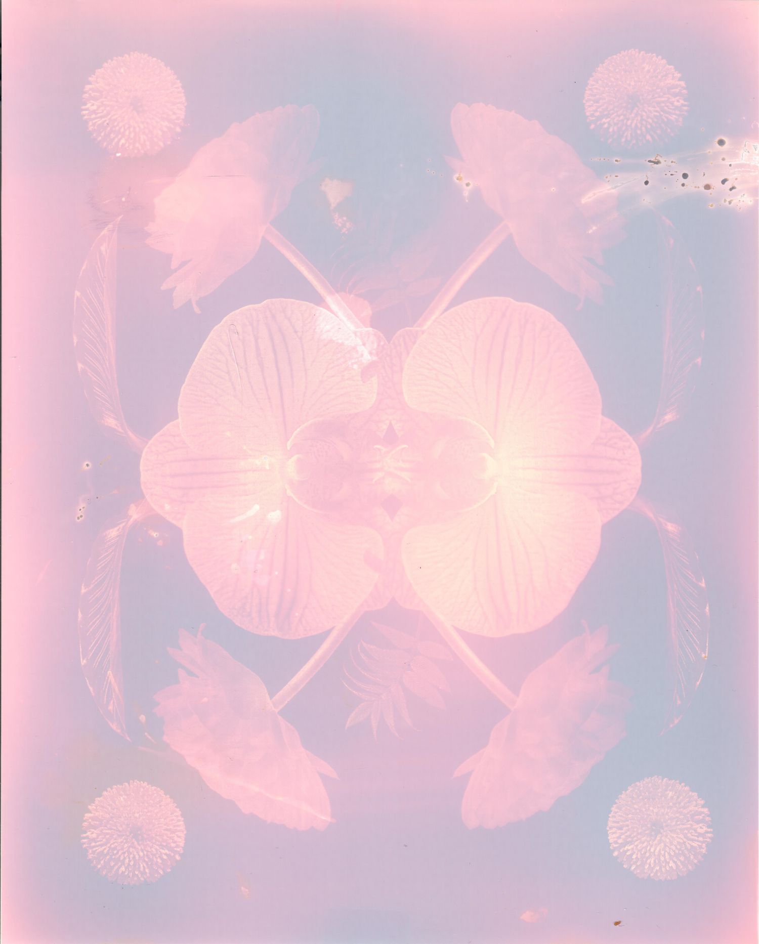 Lumen print