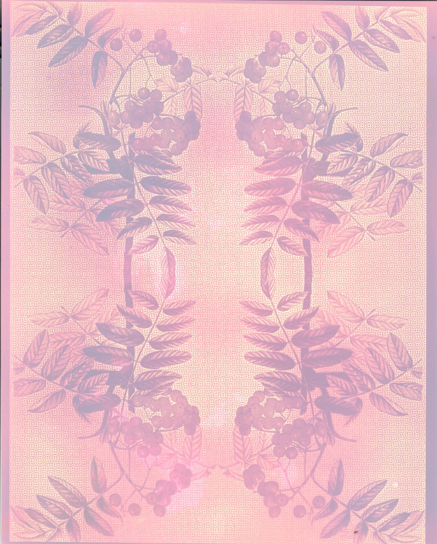 Lumen print