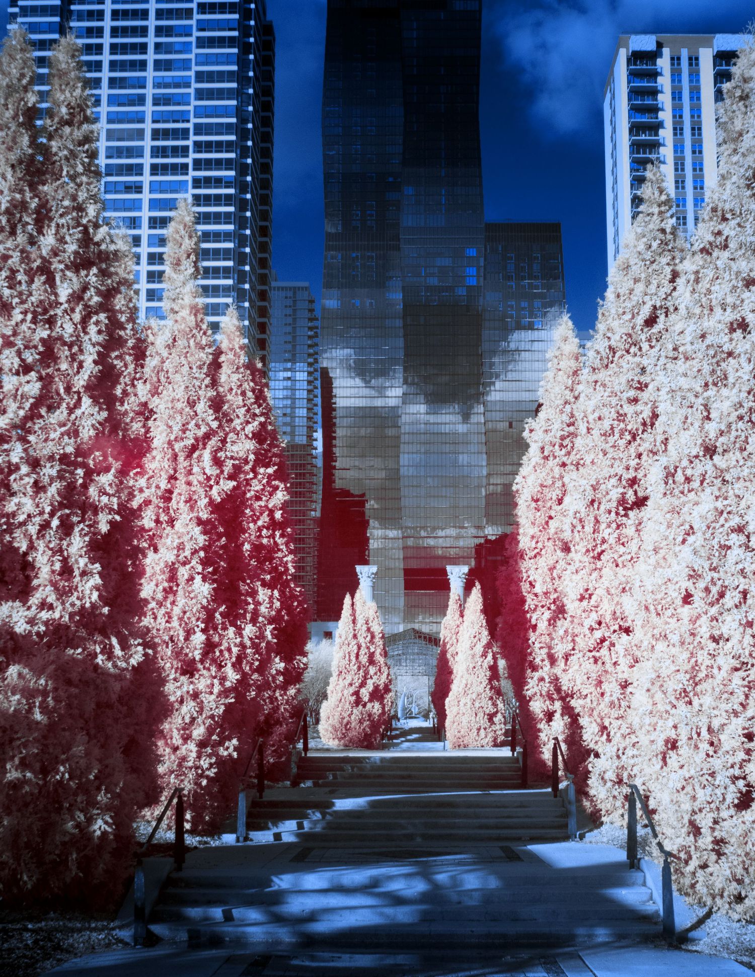 Infrared Photography in Chicago