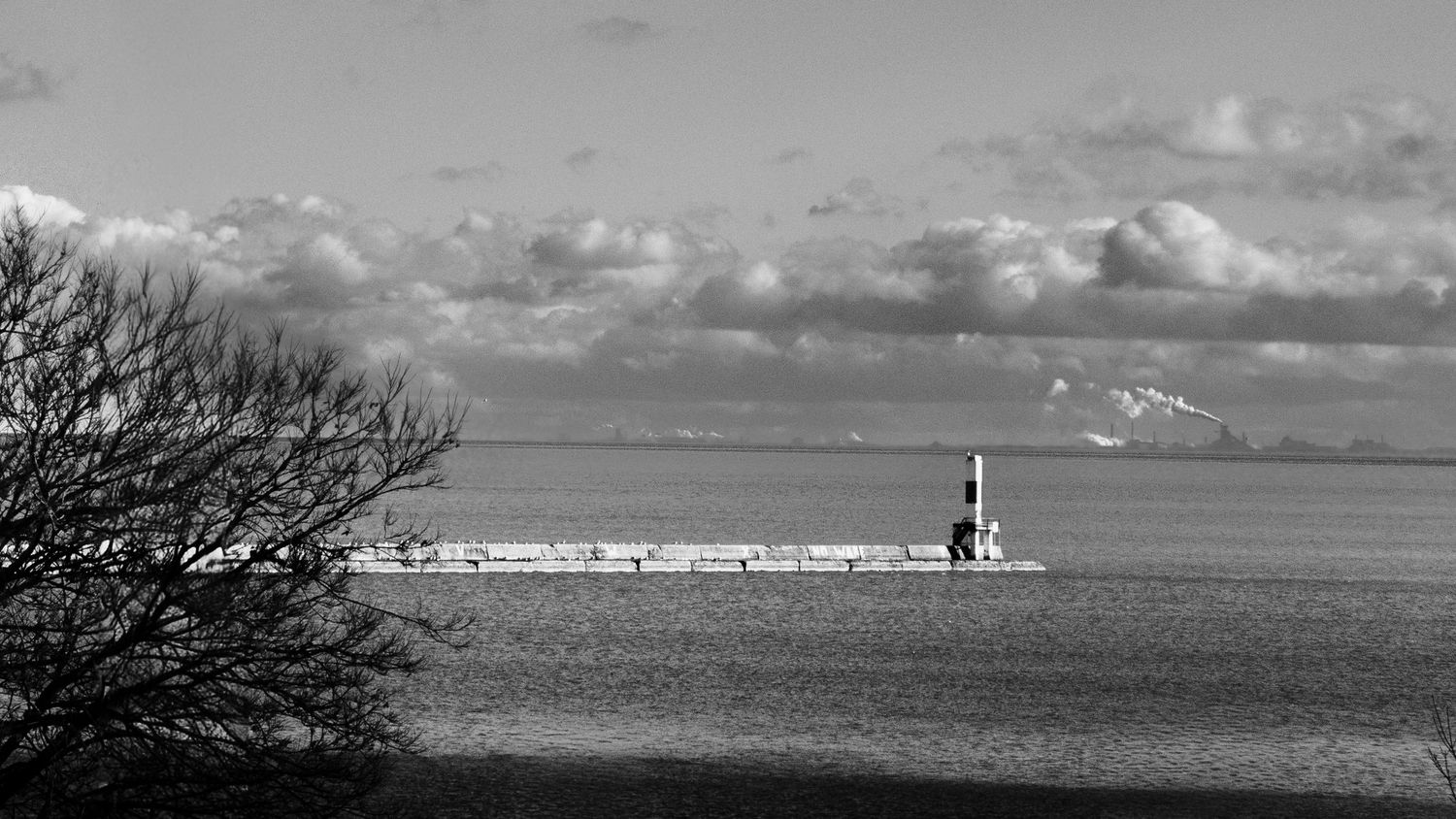 Infrared Photography in Chicago
