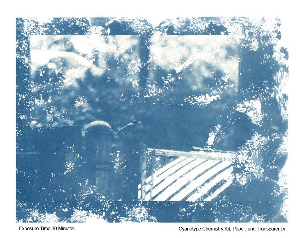 Cyanotype of bird. The solution is sponged on c,reating a spotty appearence