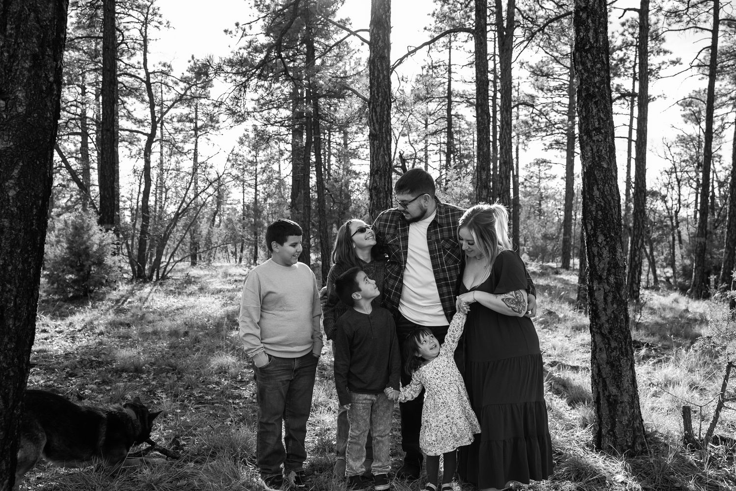 A group gathers in a wooded outdoor setting during a wedding ceremony among tall pine trees.