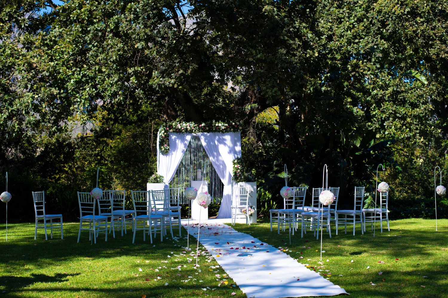 Elegant outdoor wedding ceremony setup with white aisle runner, chiavari chairs, and draped floral arch under large trees.
