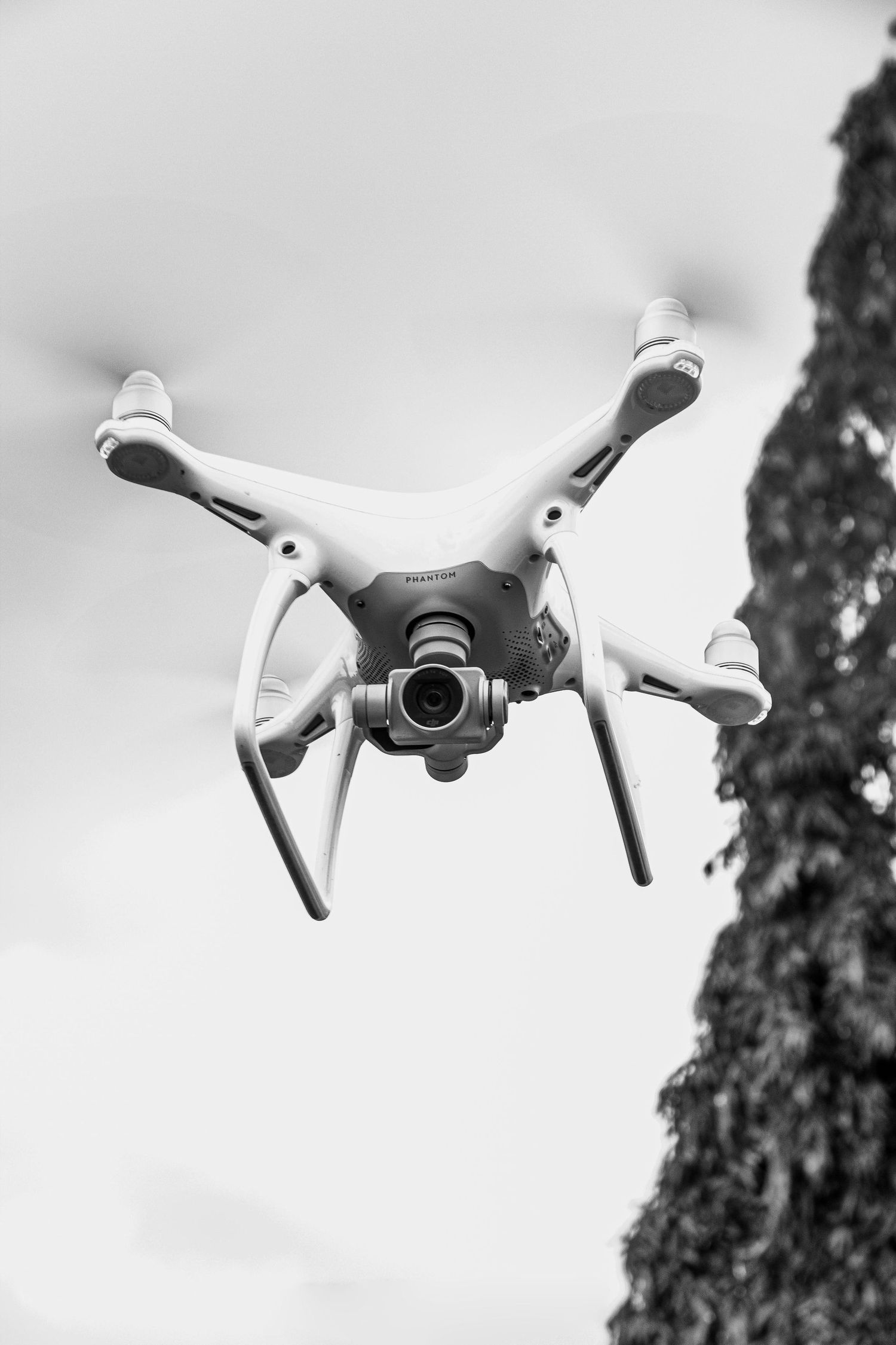 Black and white photo of a DJI Phantom drone with camera flying mid-air against a cloudy sky near a tree.