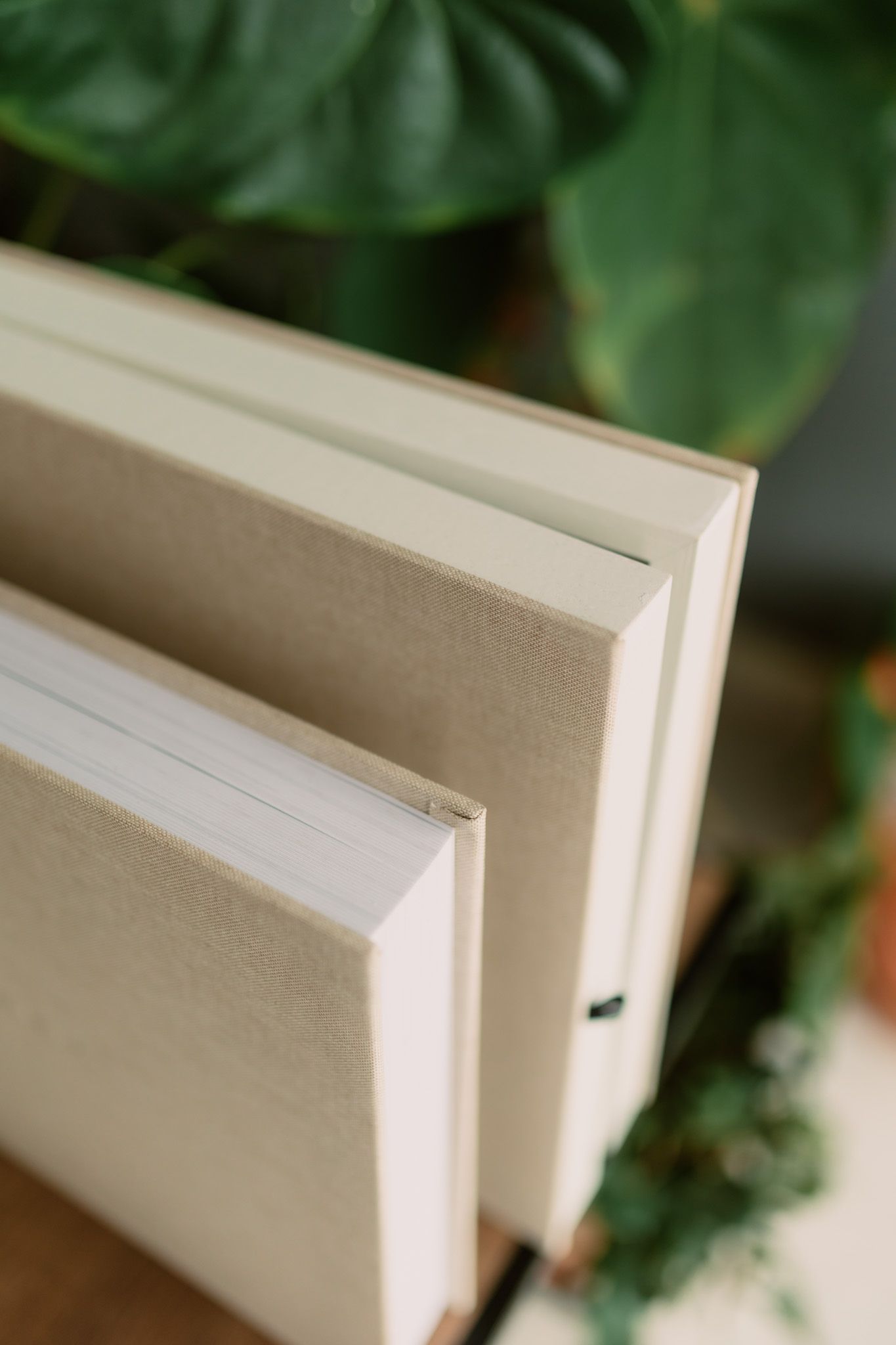 Minimalist still life of white books stacked against green foliage background.