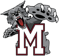 Mechanicsburg High School, Mechanicsburg Wildcats Basketball team logo, Mechanicsburg PA