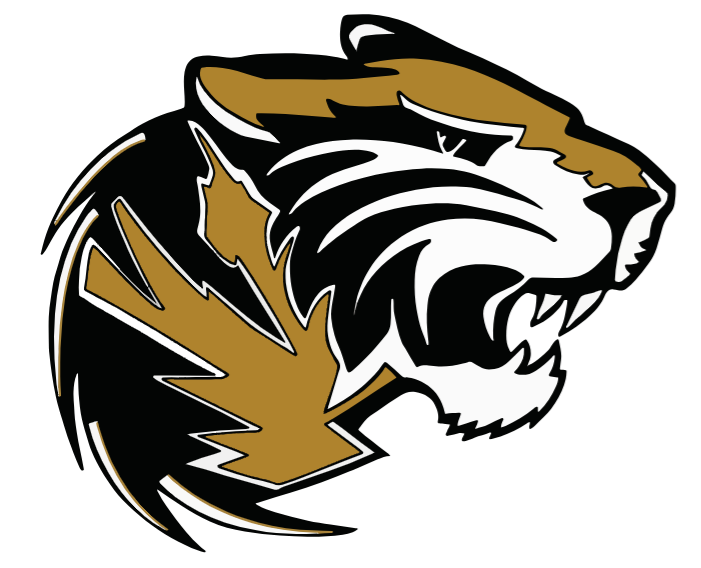 Southern Columbia Tigers baseball team logo, Central PA high school baseball