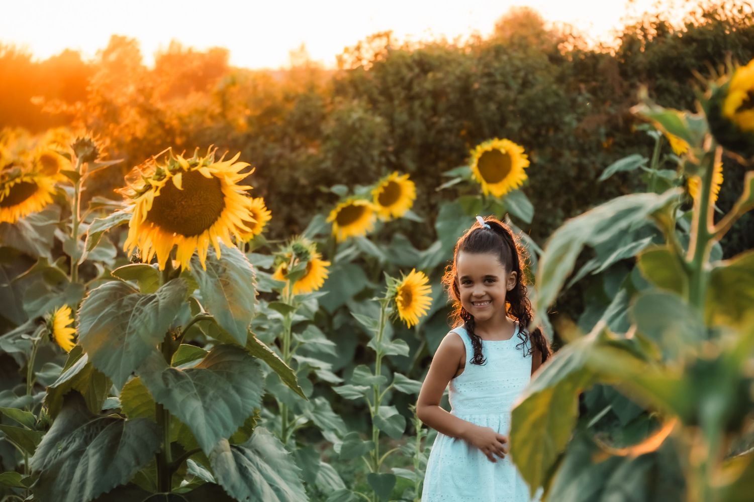A smiling girl in a white dress stands among tall sunflowers in a golden sunlit field at sunset.
