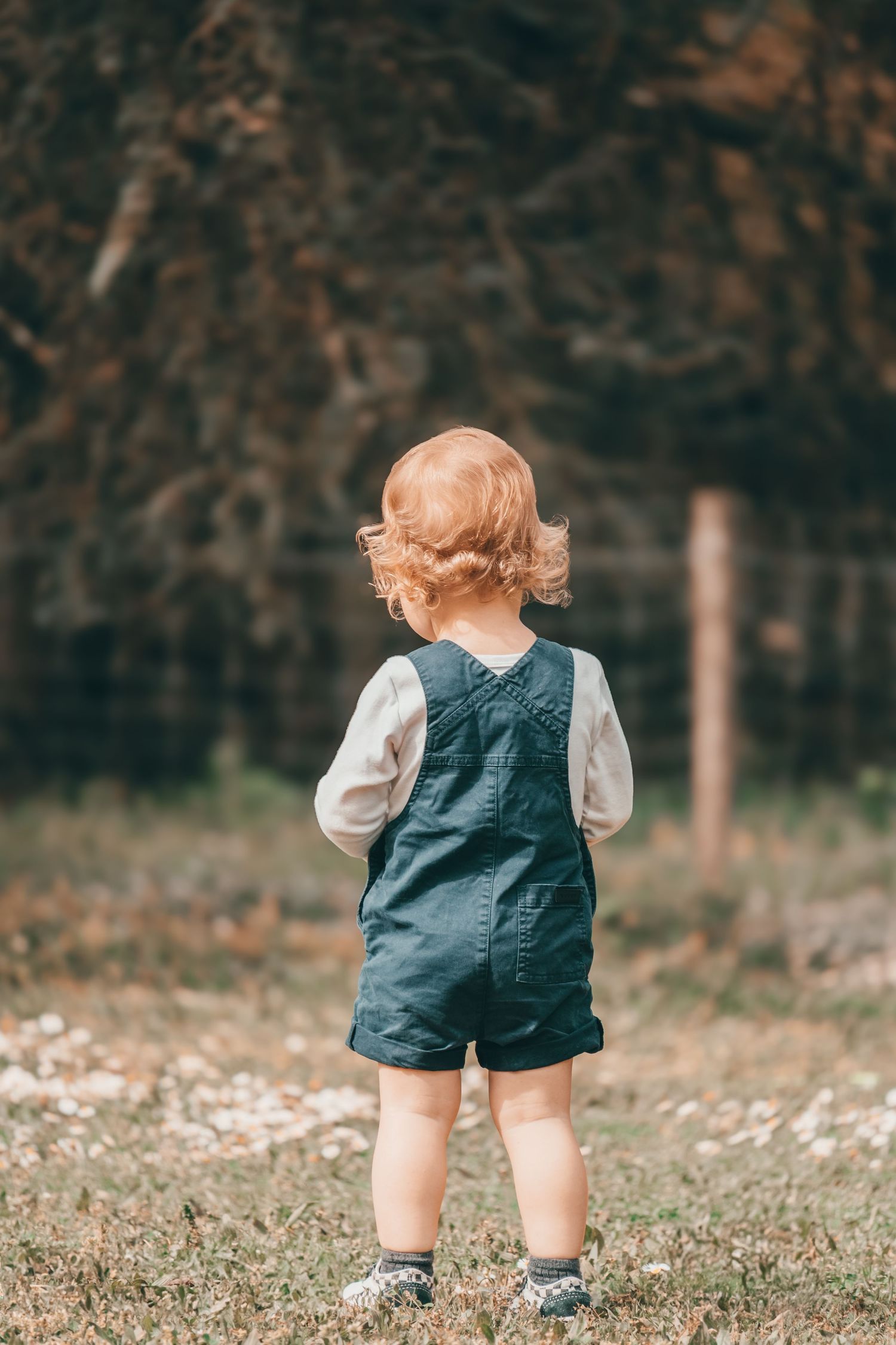 Toddler in blue overalls and white shirt stands with back turned in autumn field with fallen leaves and blurred trees.
