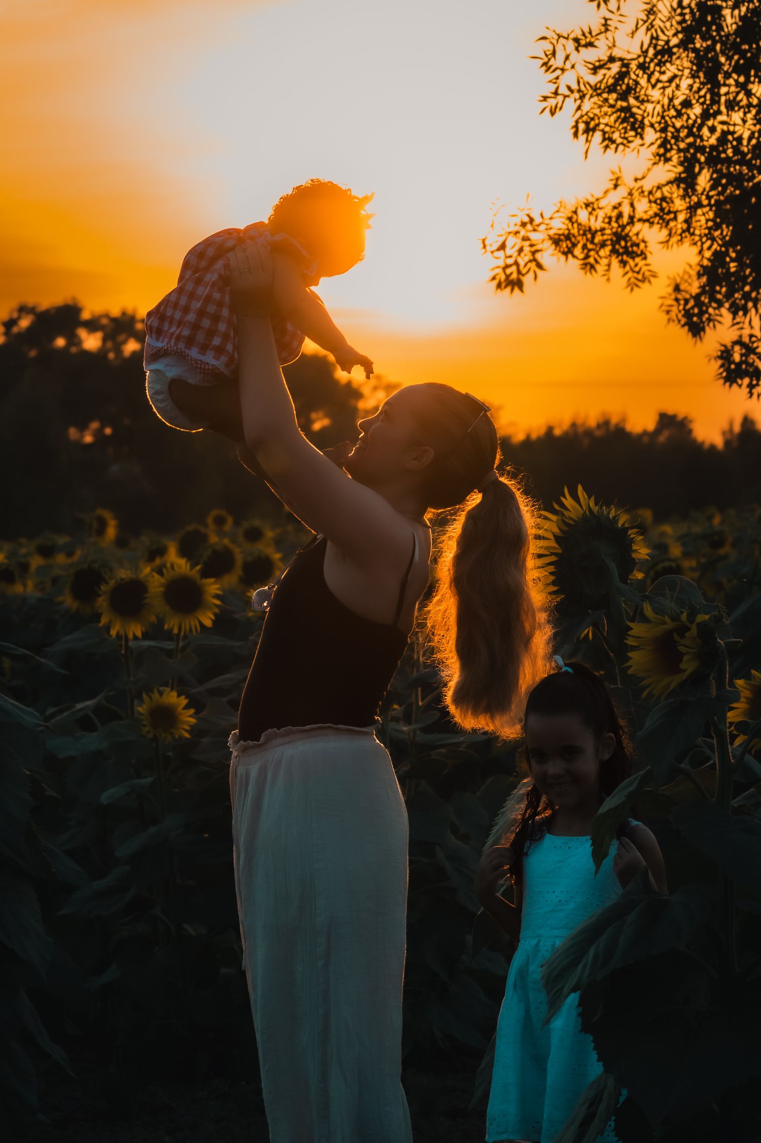 Mother lifting baby in sunflower field at golden sunset with young girl watching nearby.