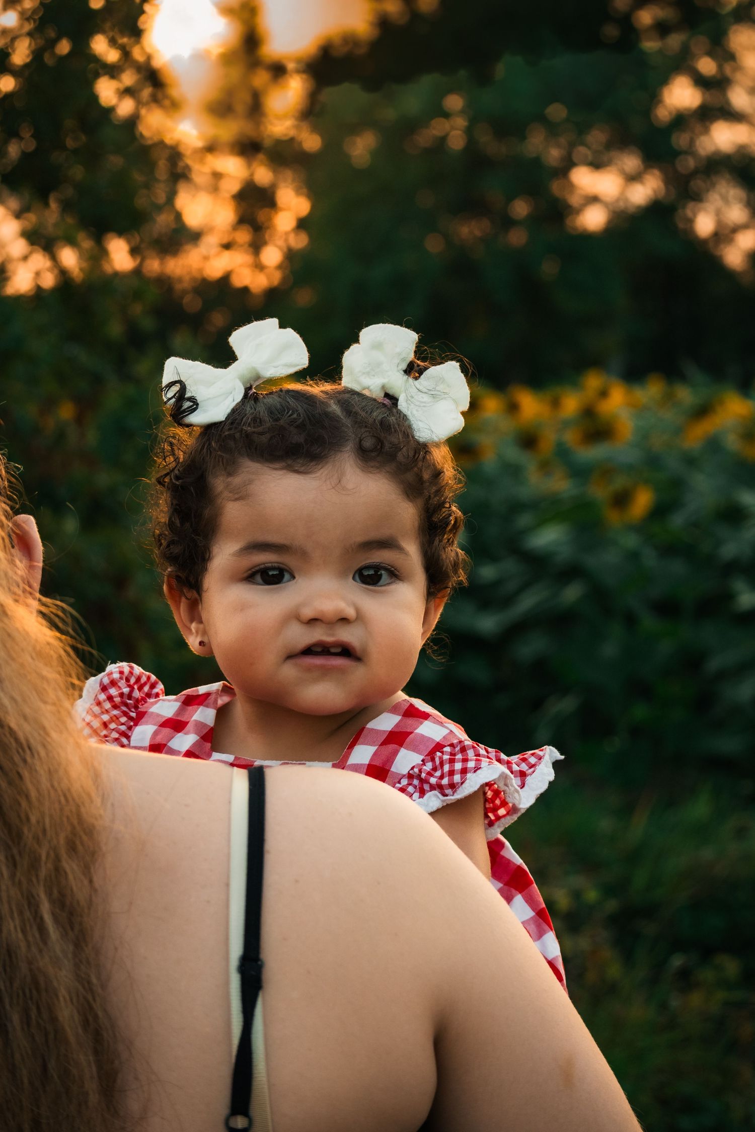 A toddler girl in a red gingham dress with white hair bows rests on an adult's shoulder at golden hour.