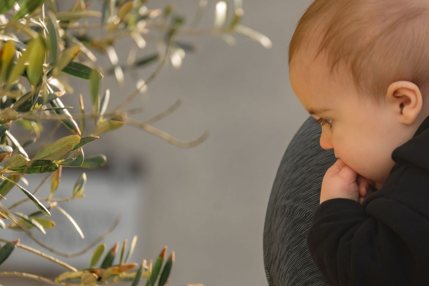 A series of connected photos showing a baby reaching up to touch hanging gold tinsel decorations.