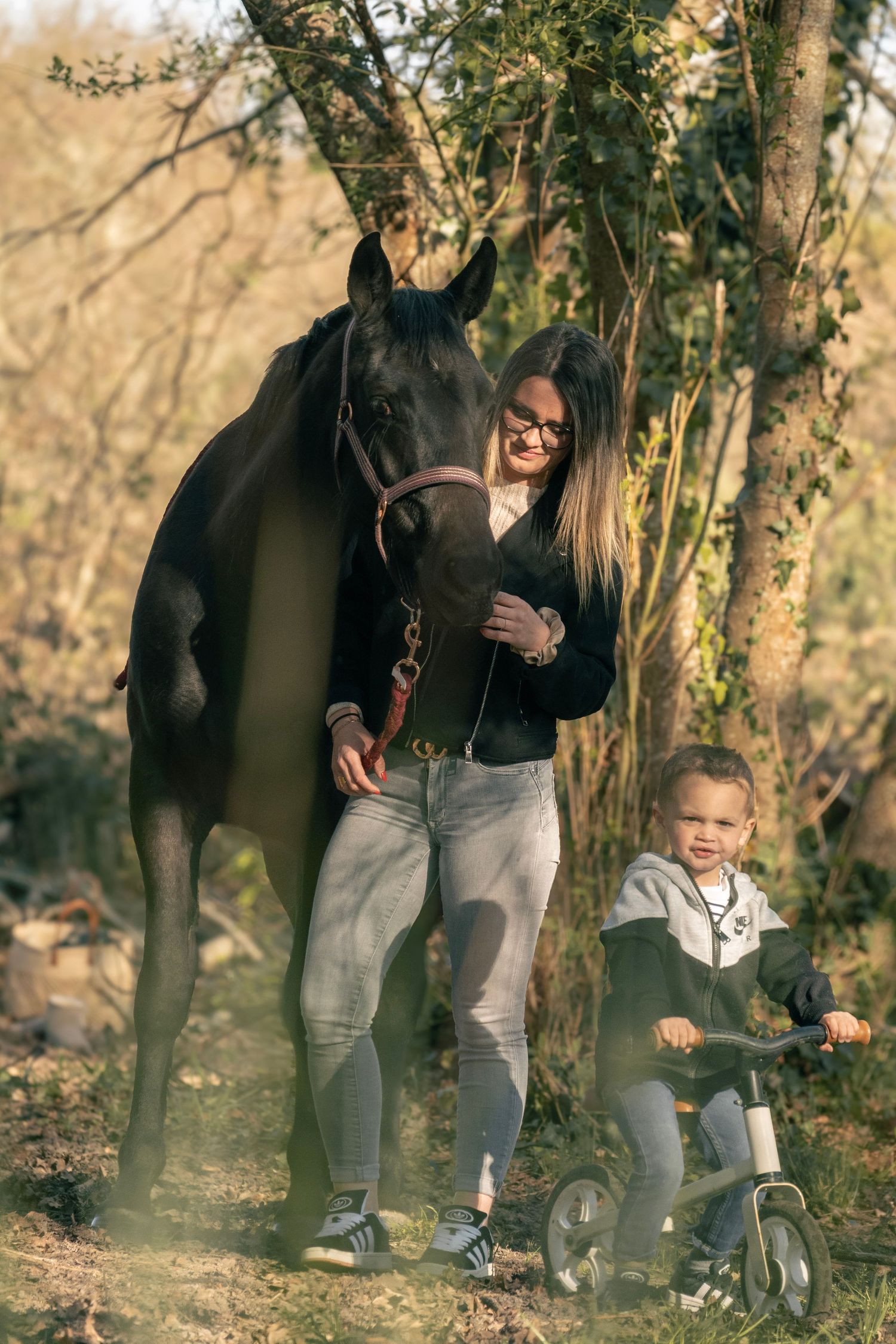 Beautiful black horse standing in autumn woods with figures enjoying a peaceful outdoor moment together.