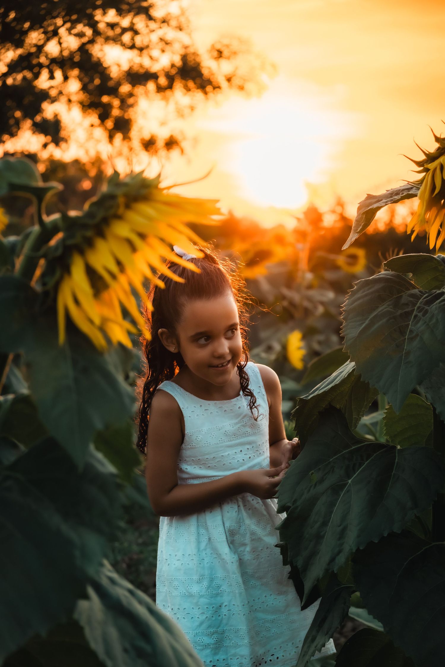 A young girl in a white dress stands among tall sunflowers in a field during a golden sunset.