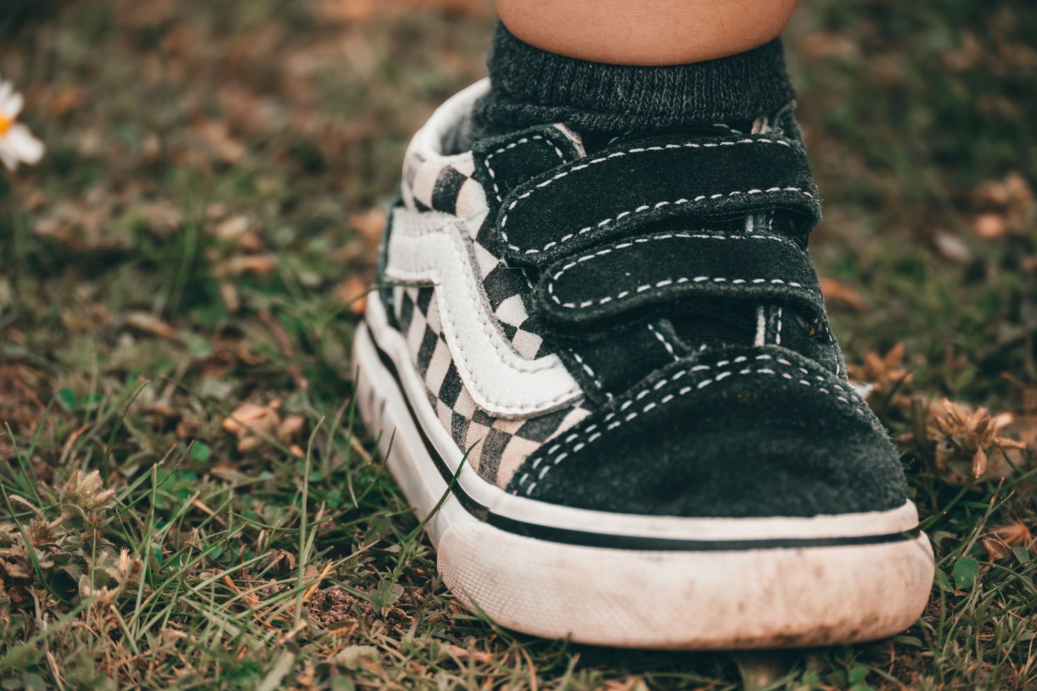 Close-up of a green velcro Vans sneaker on grass with fallen leaves in the background.