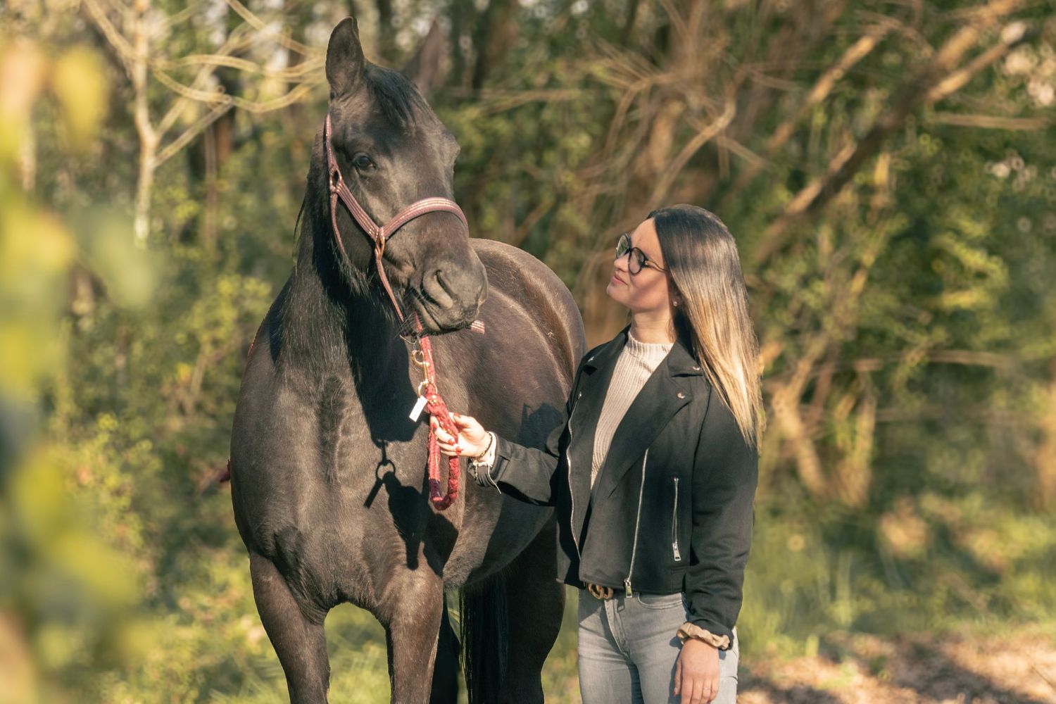 A dark bay horse stands with someone in a black jacket outdoors surrounded by nature.