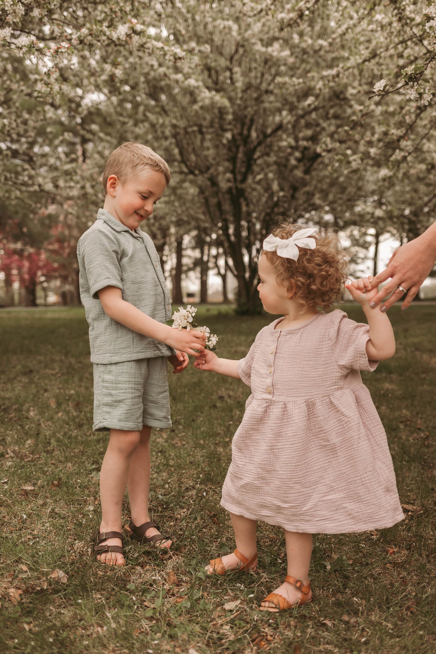 Young girl gives older brother flowers in a Des Moines area park during a lifestyle family photo session.