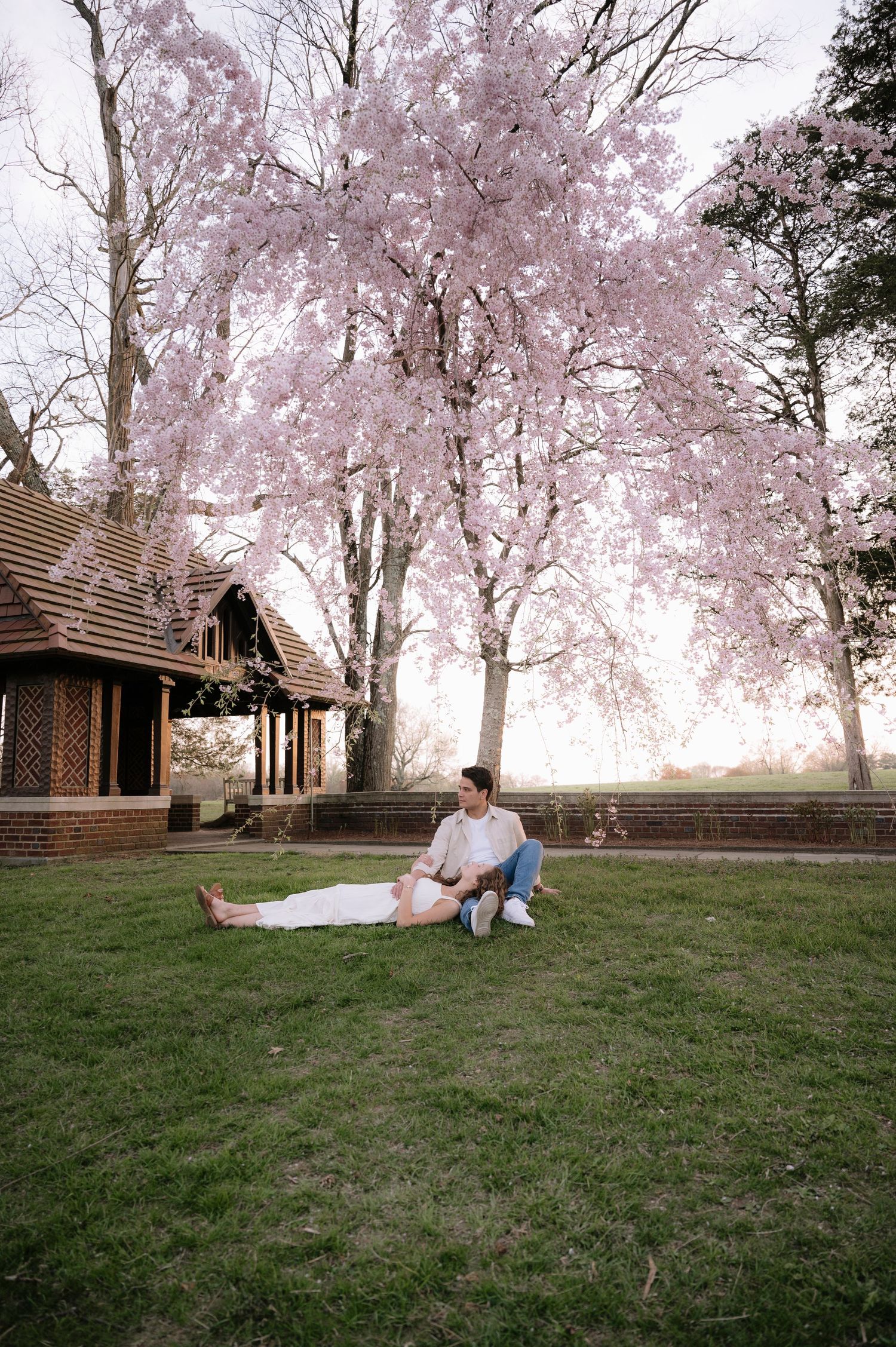 Couple resting on grass under pink cherry blossoms next to wooden structure.