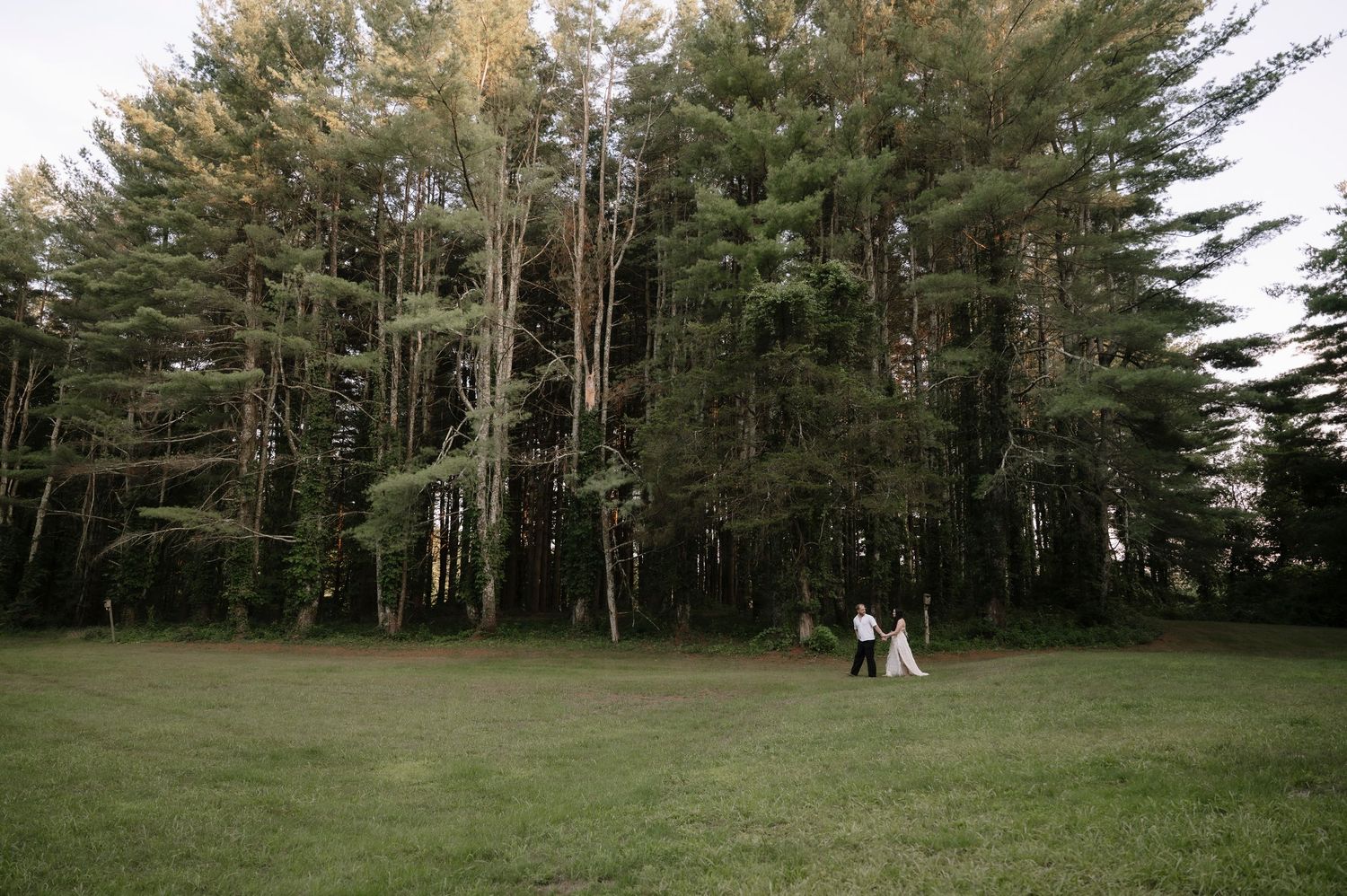 A bride and groom stand together on a lush green lawn surrounded by tall pine trees at an outdoor wedding.