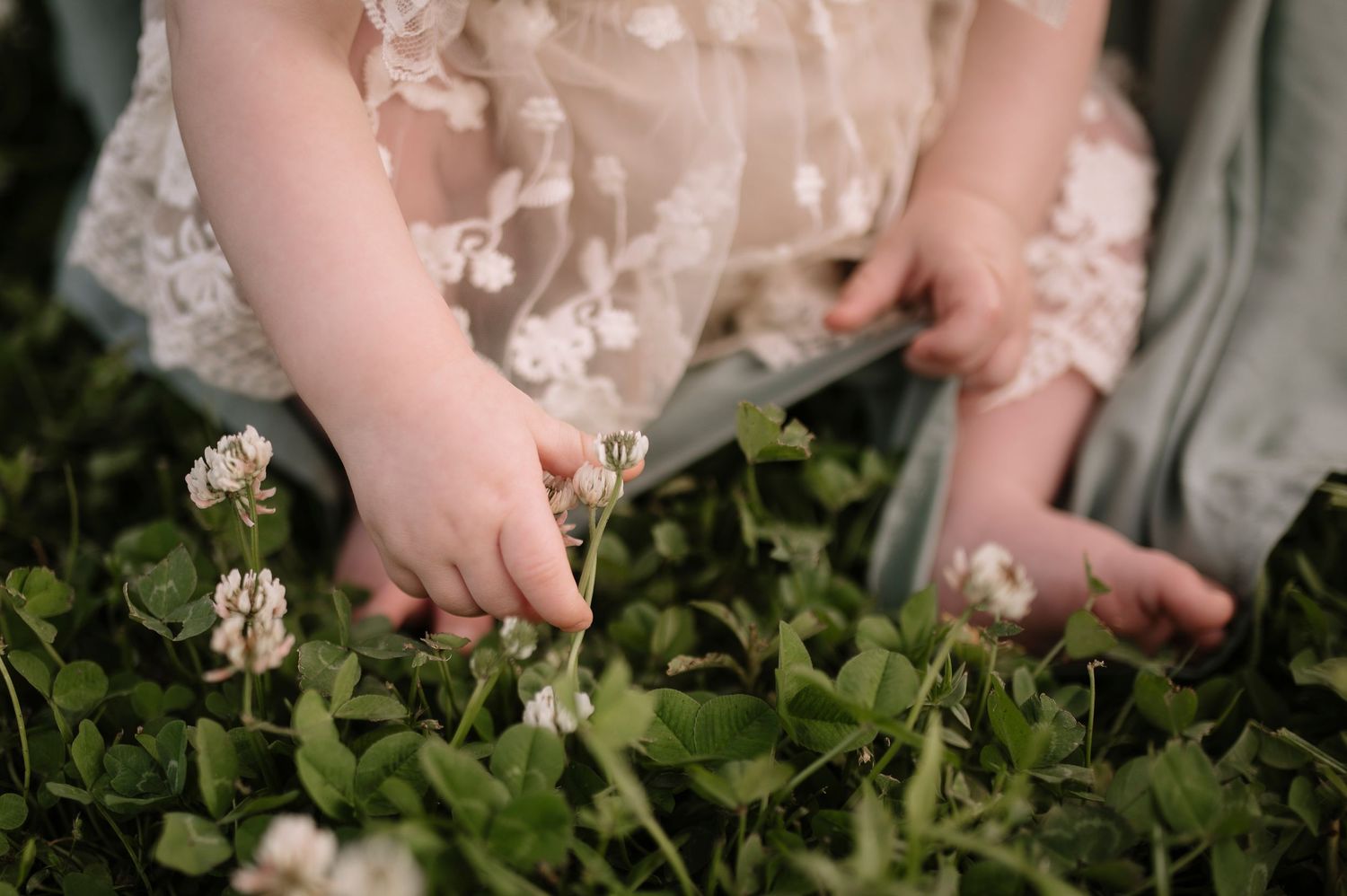 Small hands in a lacy white dress reach down to touch delicate white roses growing among green leaves in a garden.