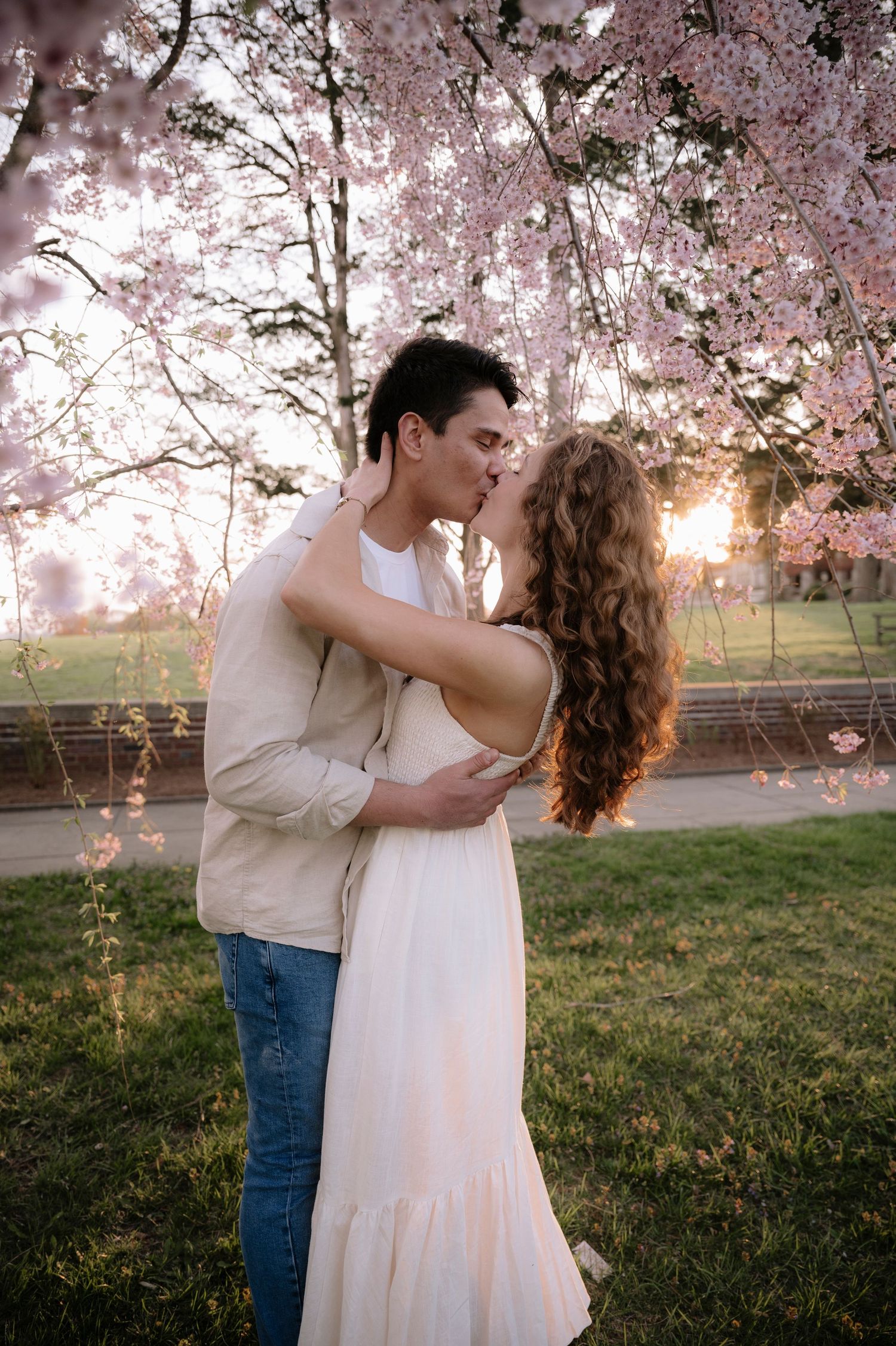 A romantic moment under blooming cherry blossoms as sunlight filters through the branches at sunset.